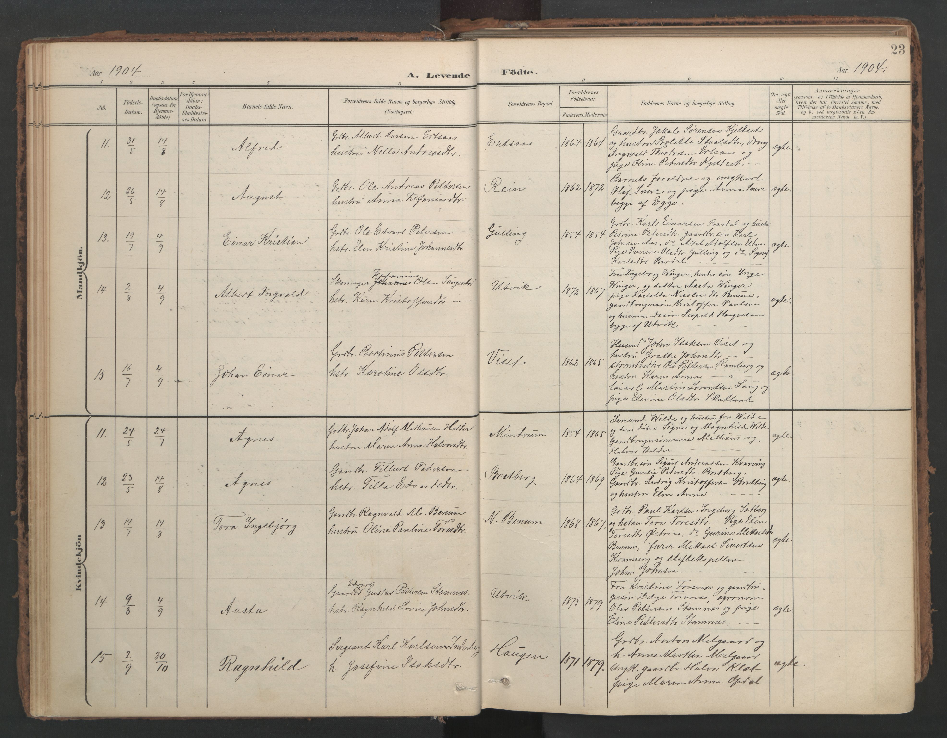 Ministerialprotokoller, klokkerbøker og fødselsregistre - Nord-Trøndelag, AV/SAT-A-1458/741/L0397: Parish register (official) no. 741A11, 1901-1911, p. 23