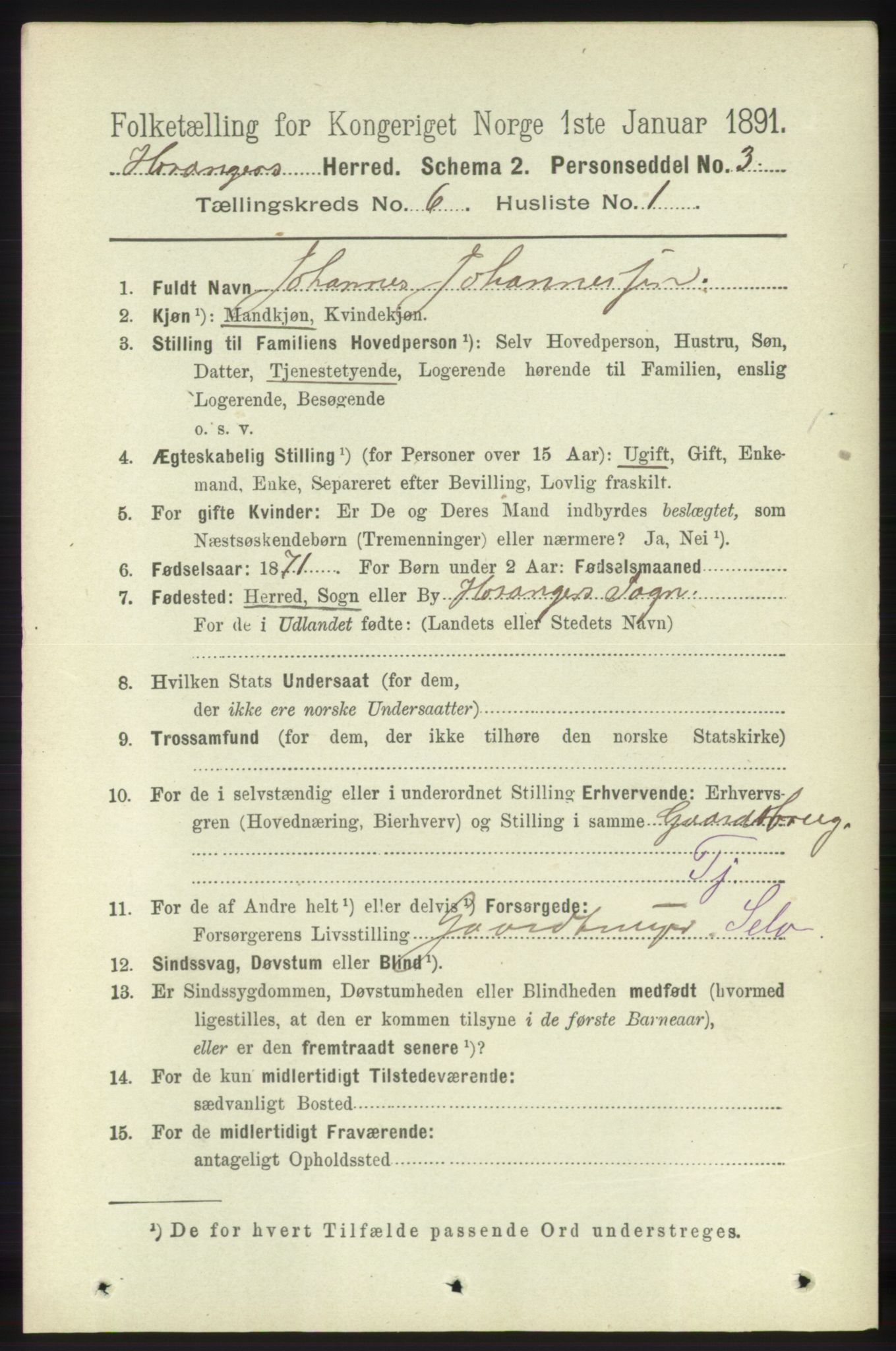 RA, 1891 census for 1253 Hosanger, 1891, p. 2140