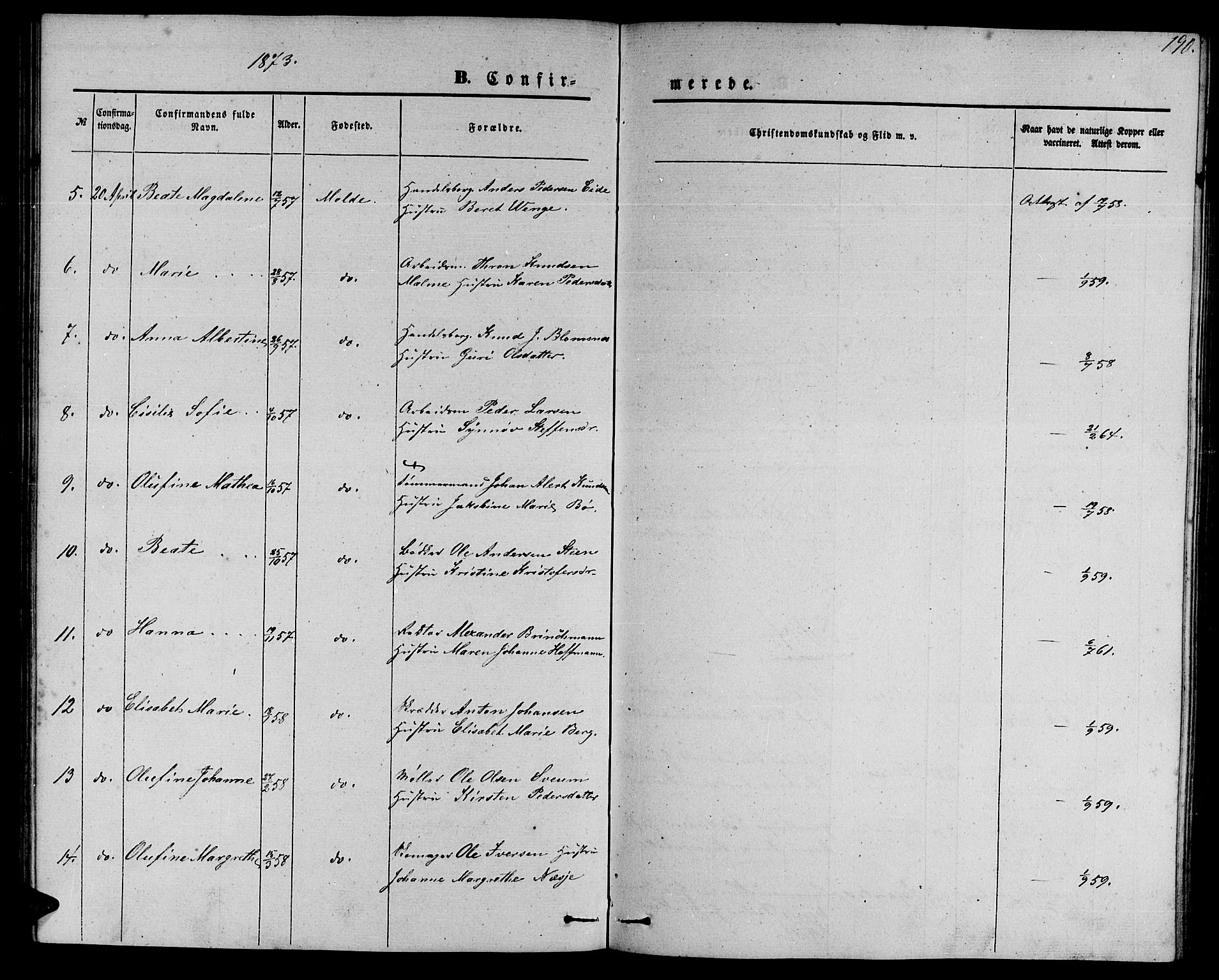 Ministerialprotokoller, klokkerbøker og fødselsregistre - Møre og Romsdal, AV/SAT-A-1454/558/L0701: Parish register (copy) no. 558C02, 1862-1879, p. 190