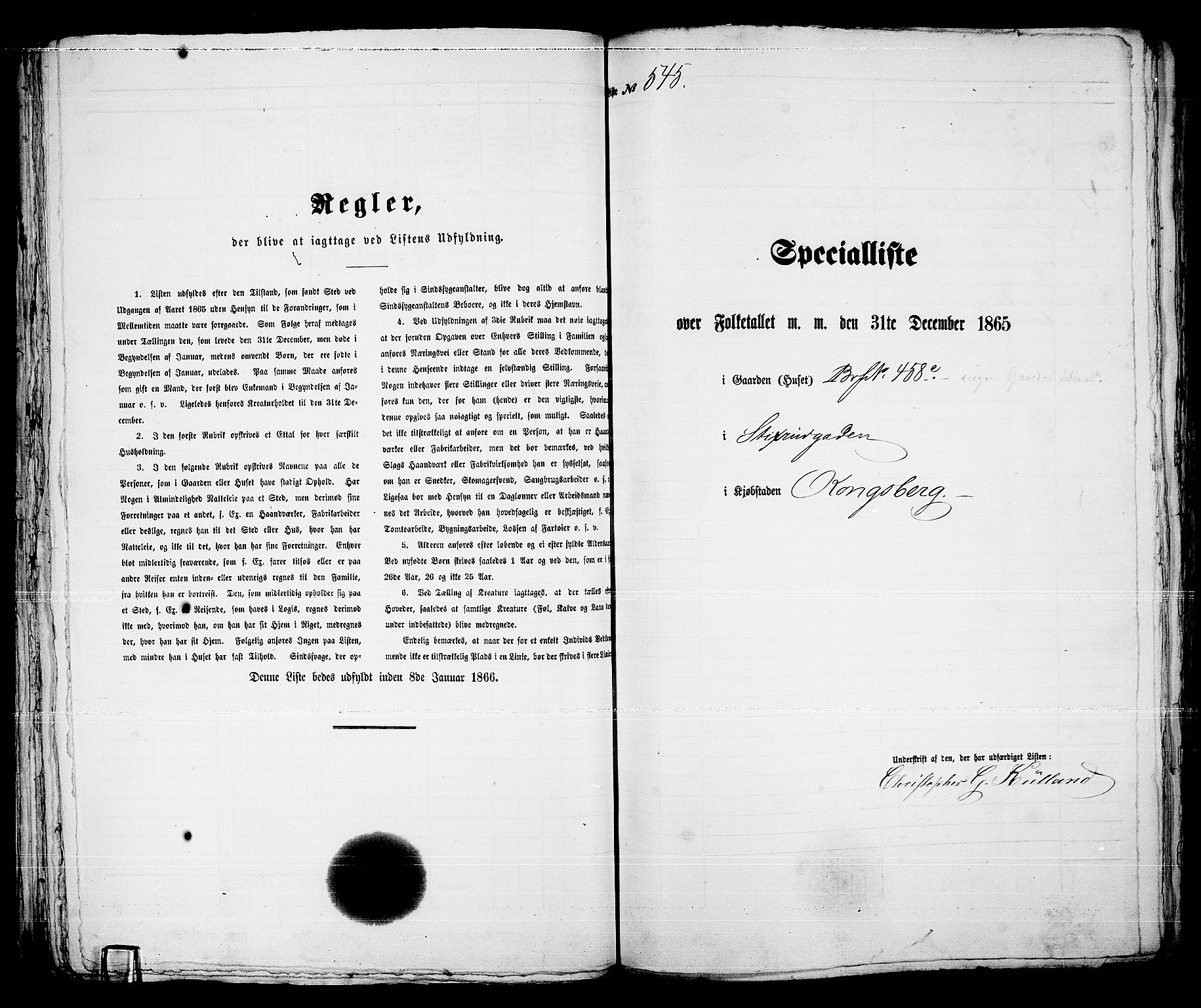 RA, 1865 census for Kongsberg/Kongsberg, 1865, p. 1102