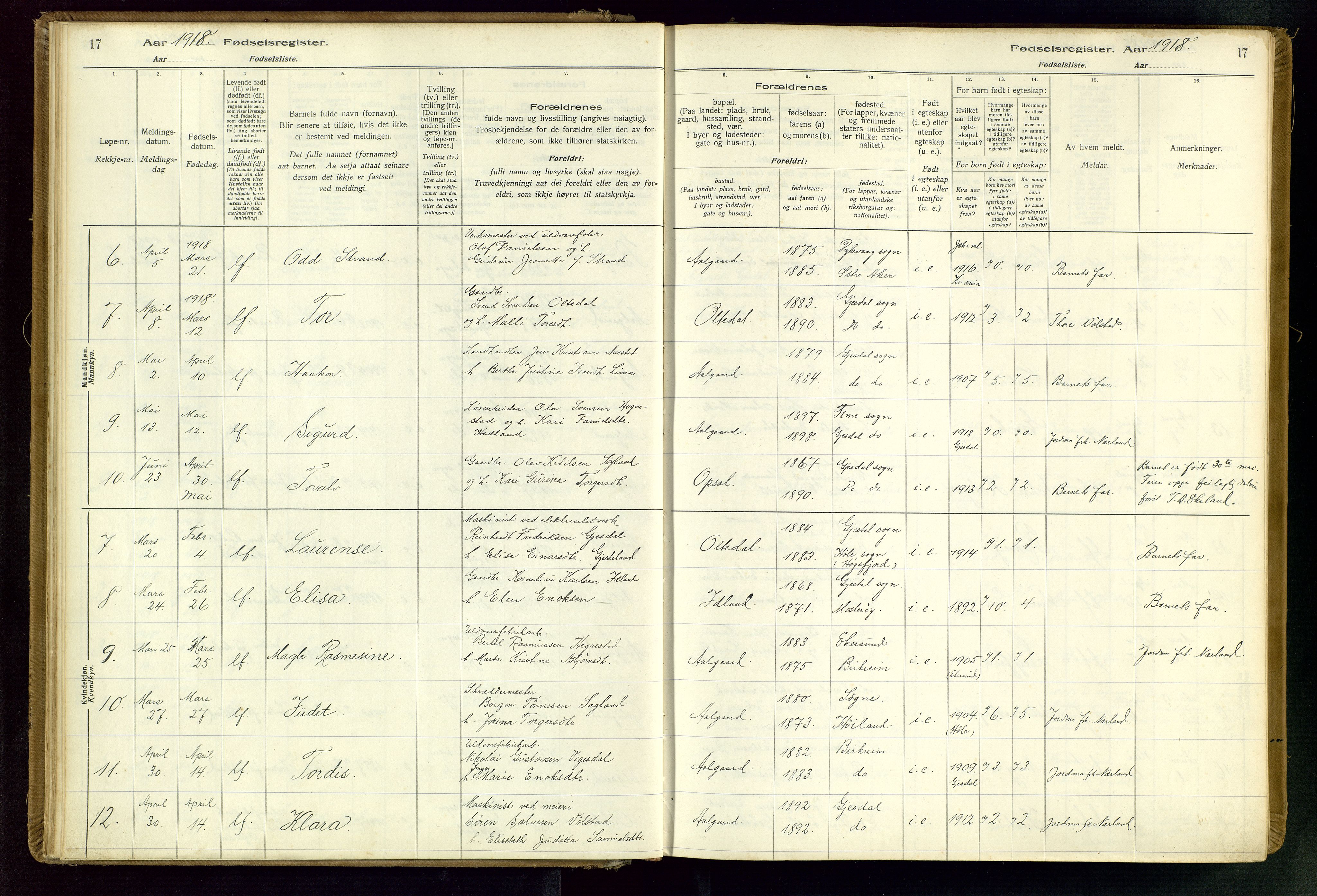 Gjesdal sokneprestkontor, SAST/A-101796/002/O/L0001: Birth register no. 1, 1916-1949, p. 17