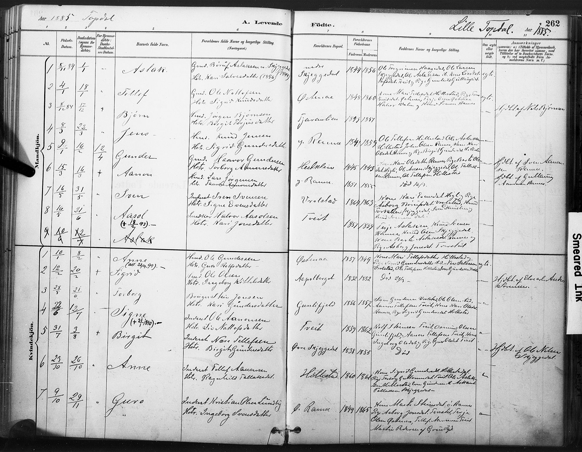 Åmli sokneprestkontor, AV/SAK-1111-0050/F/Fa/Fac/L0010: Parish register (official) no. A 10 /3, 1885-1899, p. 262