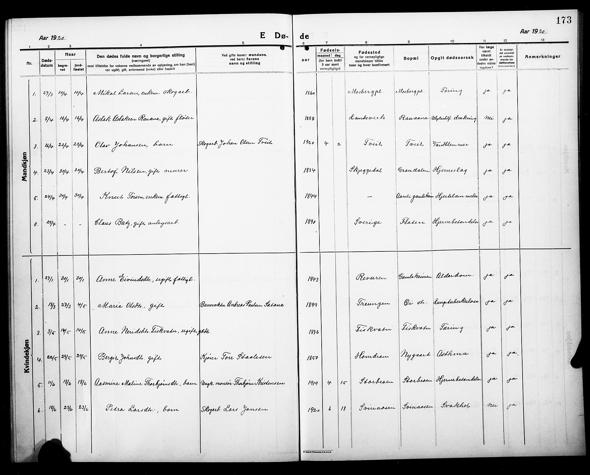 Åmli sokneprestkontor, AV/SAK-1111-0050/F/Fb/Fbc/L0006: Parish register (copy) no. B 6, 1915-1929, p. 173