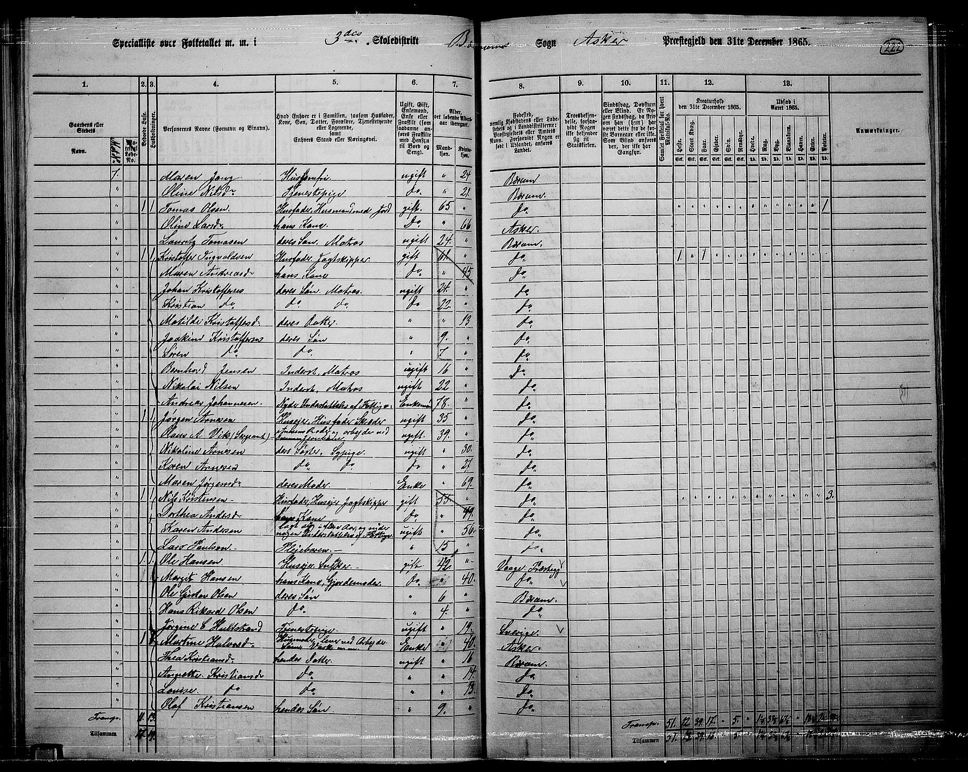 RA, 1865 census for Asker, 1865, p. 214