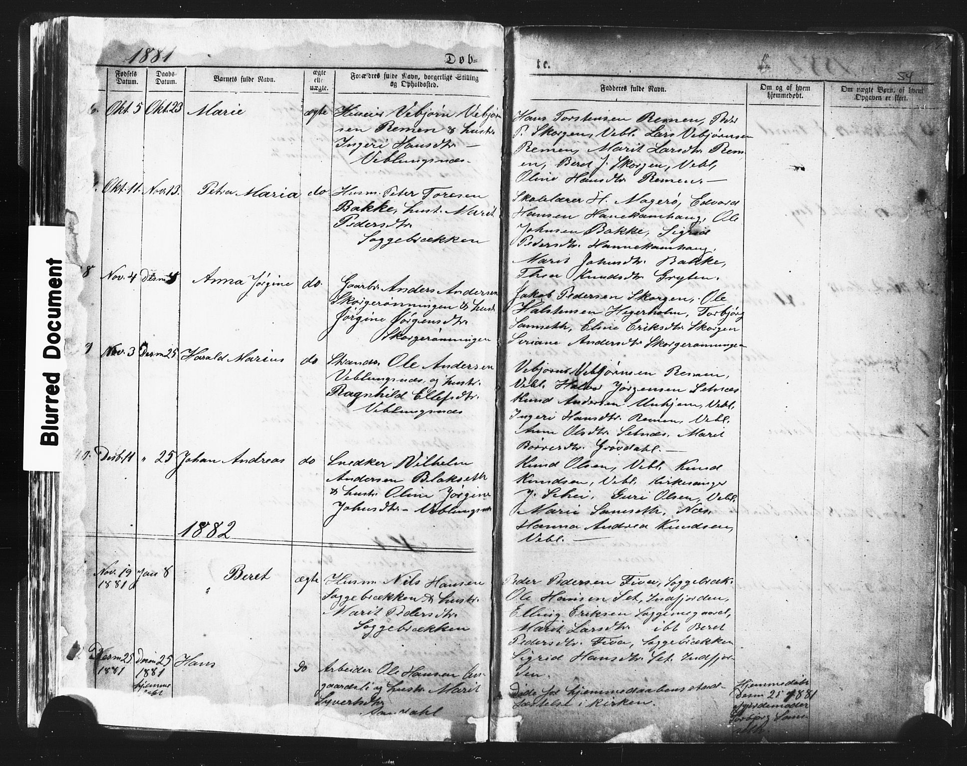 Ministerialprotokoller, klokkerbøker og fødselsregistre - Møre og Romsdal, AV/SAT-A-1454/544/L0580: Parish register (copy) no. 544C02, 1867-1909, p. 54