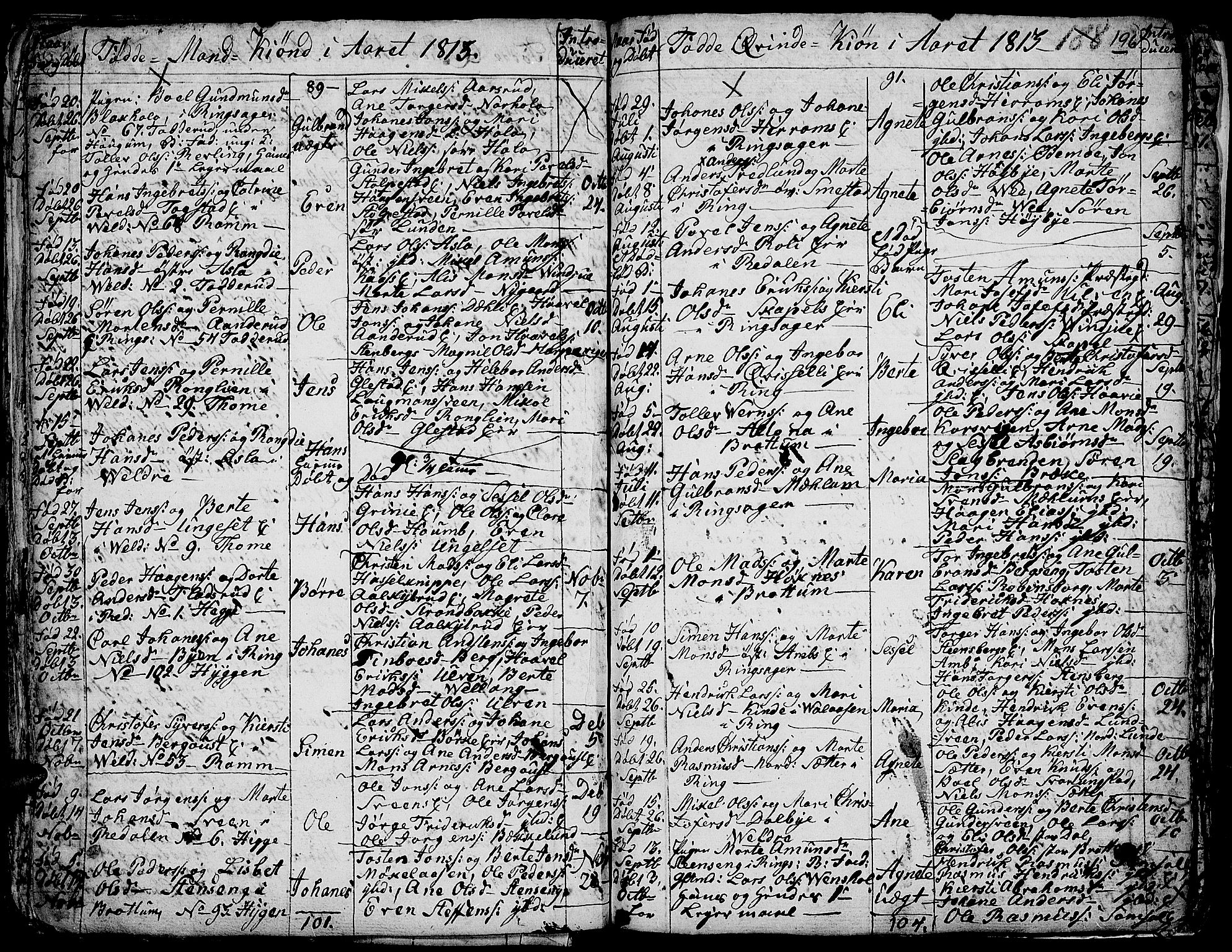 Ringsaker prestekontor, AV/SAH-PREST-014/K/Ka/L0004: Parish register (official) no. 4, 1799-1814, p. 196