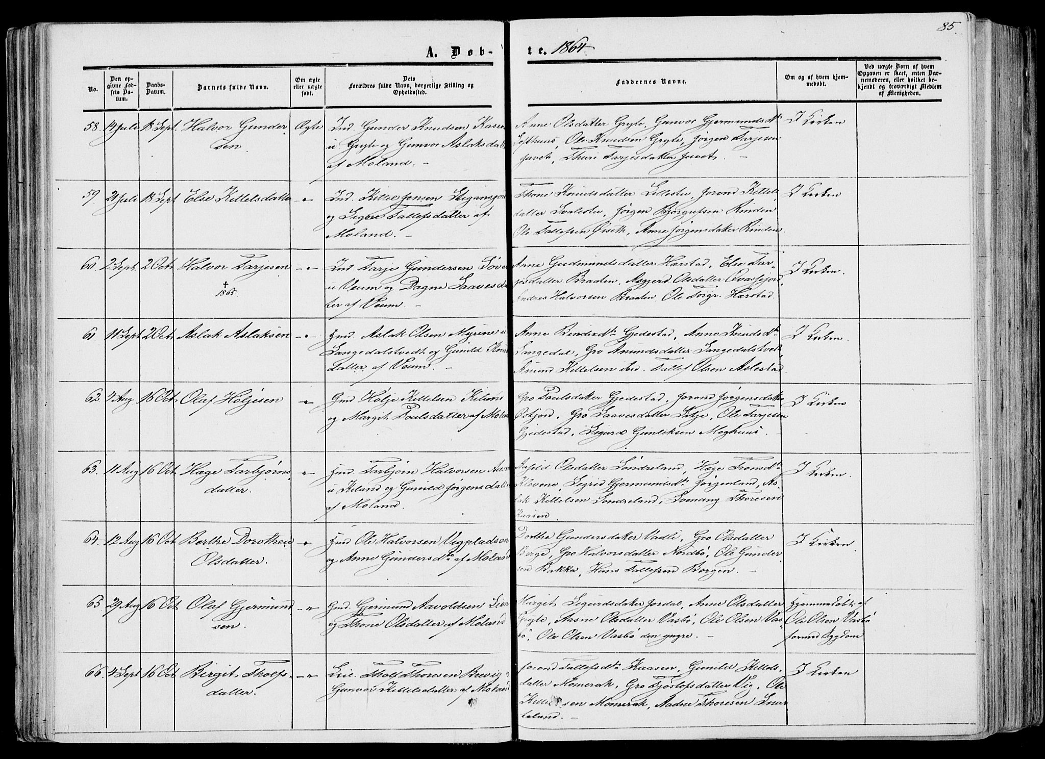 Fyresdal kirkebøker, SAKO/A-263/F/Fa/L0005: Parish register (official) no. I 5, 1855-1871, p. 85