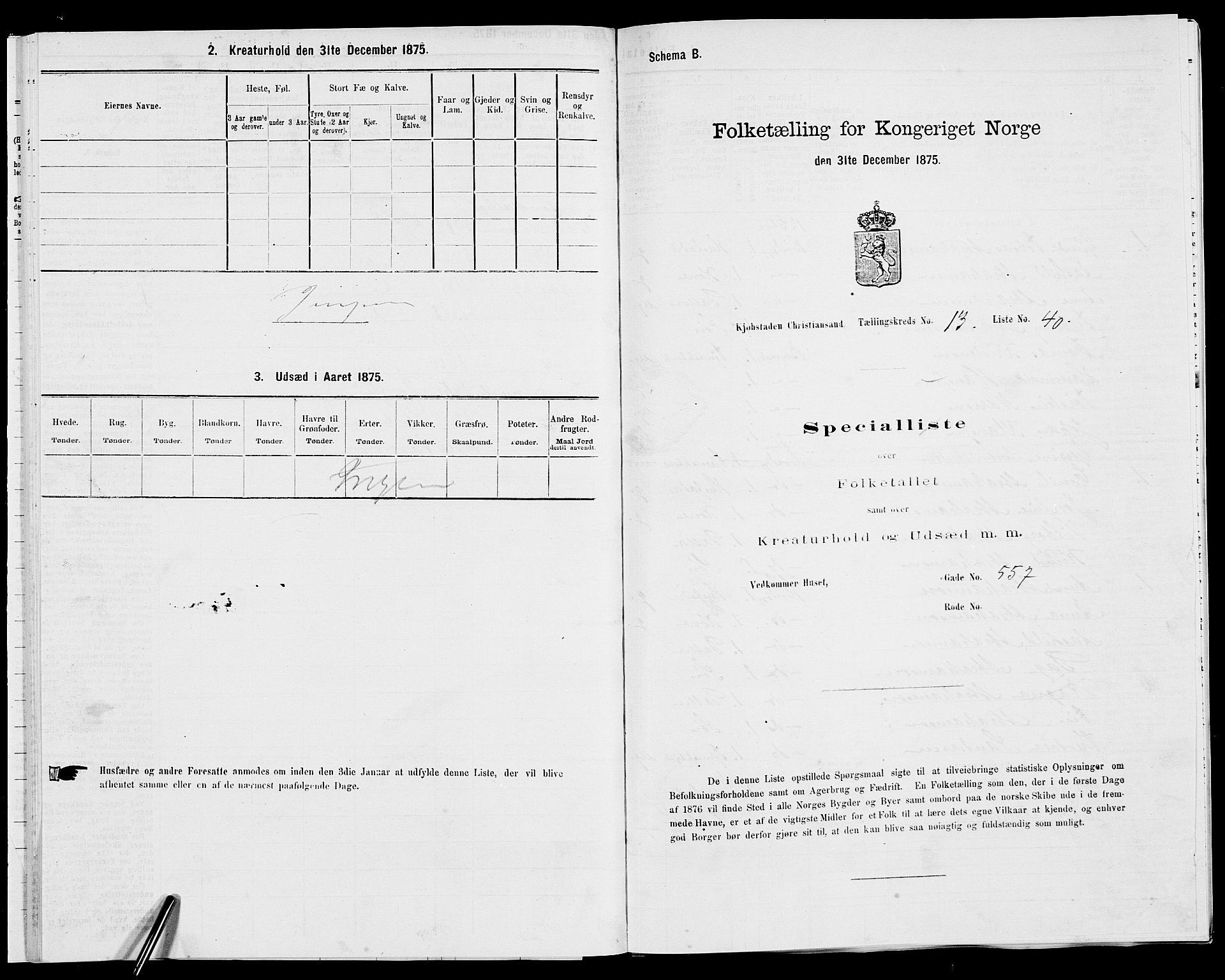 SAK, 1875 census for 1001P Kristiansand, 1875, p. 2091