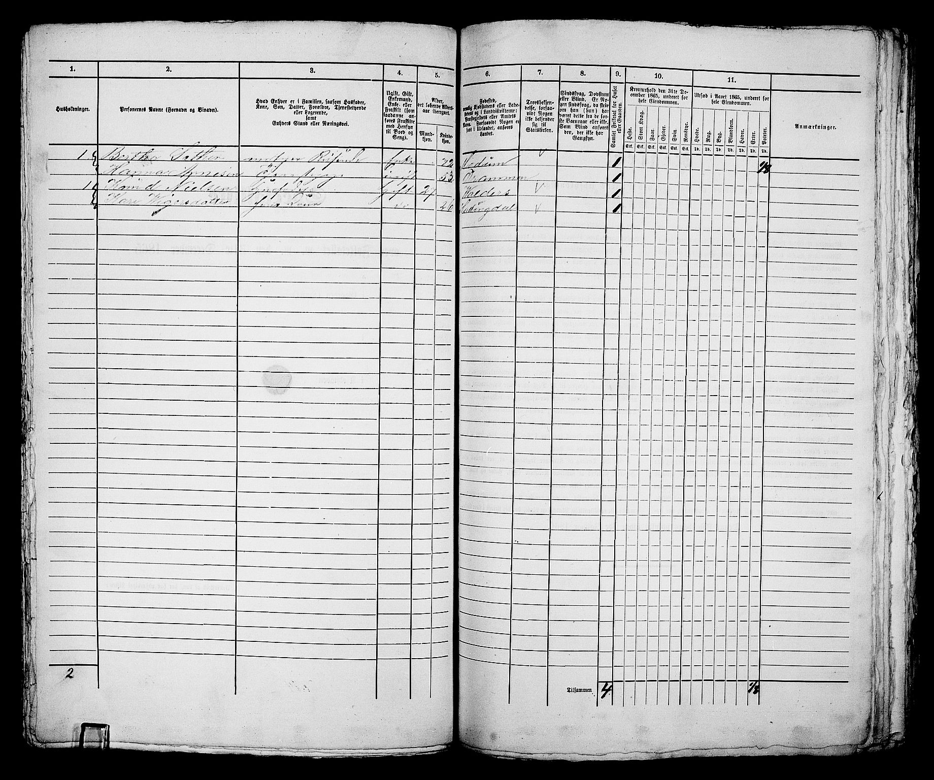 RA, 1865 census for Bragernes in Drammen, 1865, p. 310