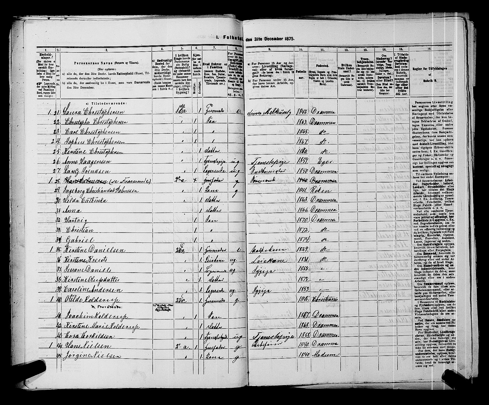 SAKO, 1875 census for 0602 Drammen, 1875, p. 377