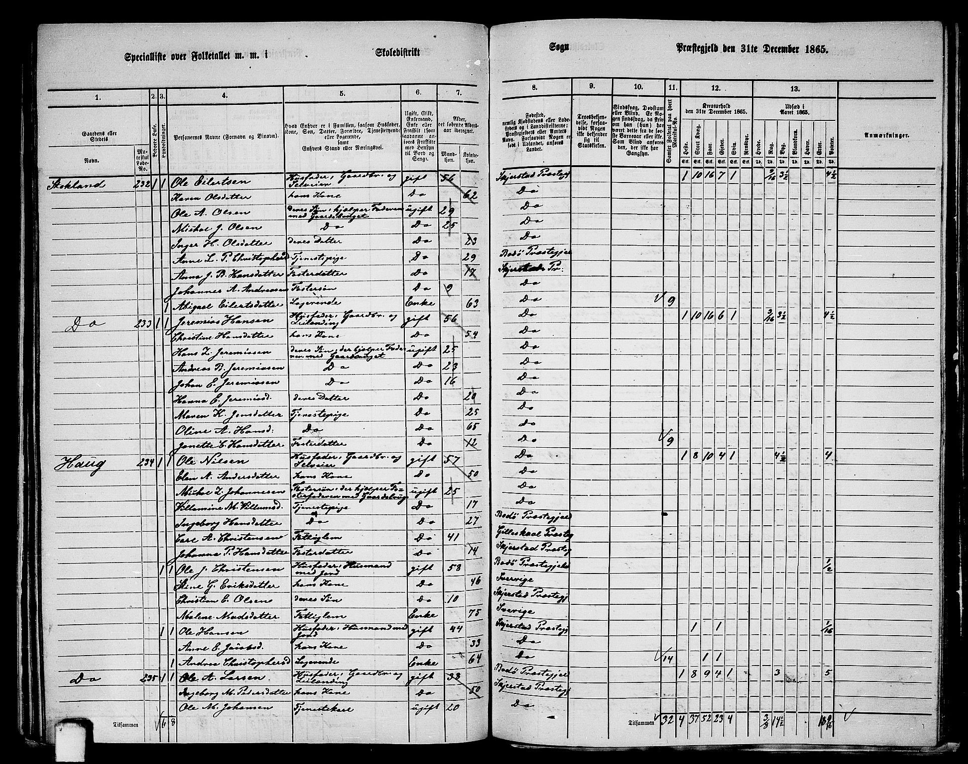 RA, 1865 census for Skjerstad, 1865, p. 116