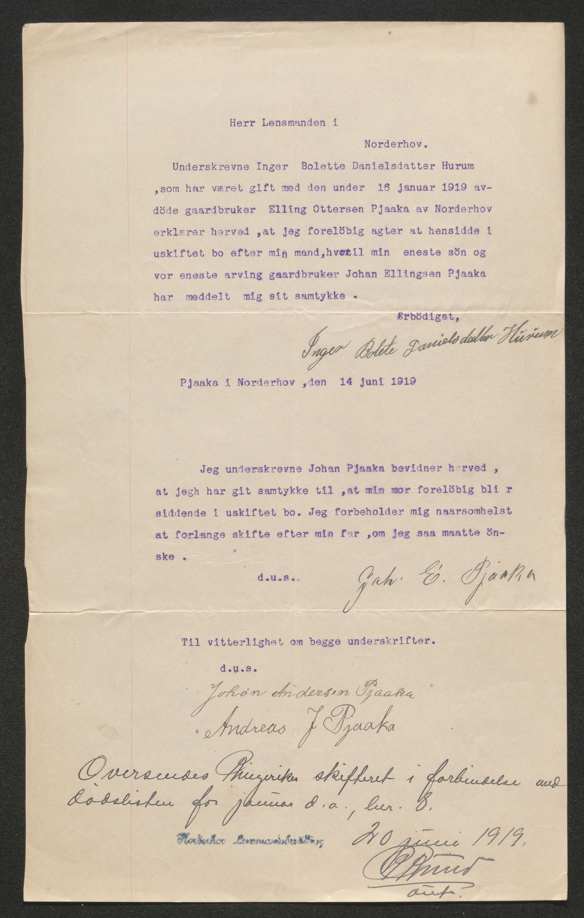 Ringerike sorenskriveri, AV/SAKO-A-105/H/Ha/Hab/L0012: Dødsfallslister Norderhov, 1909-1923
