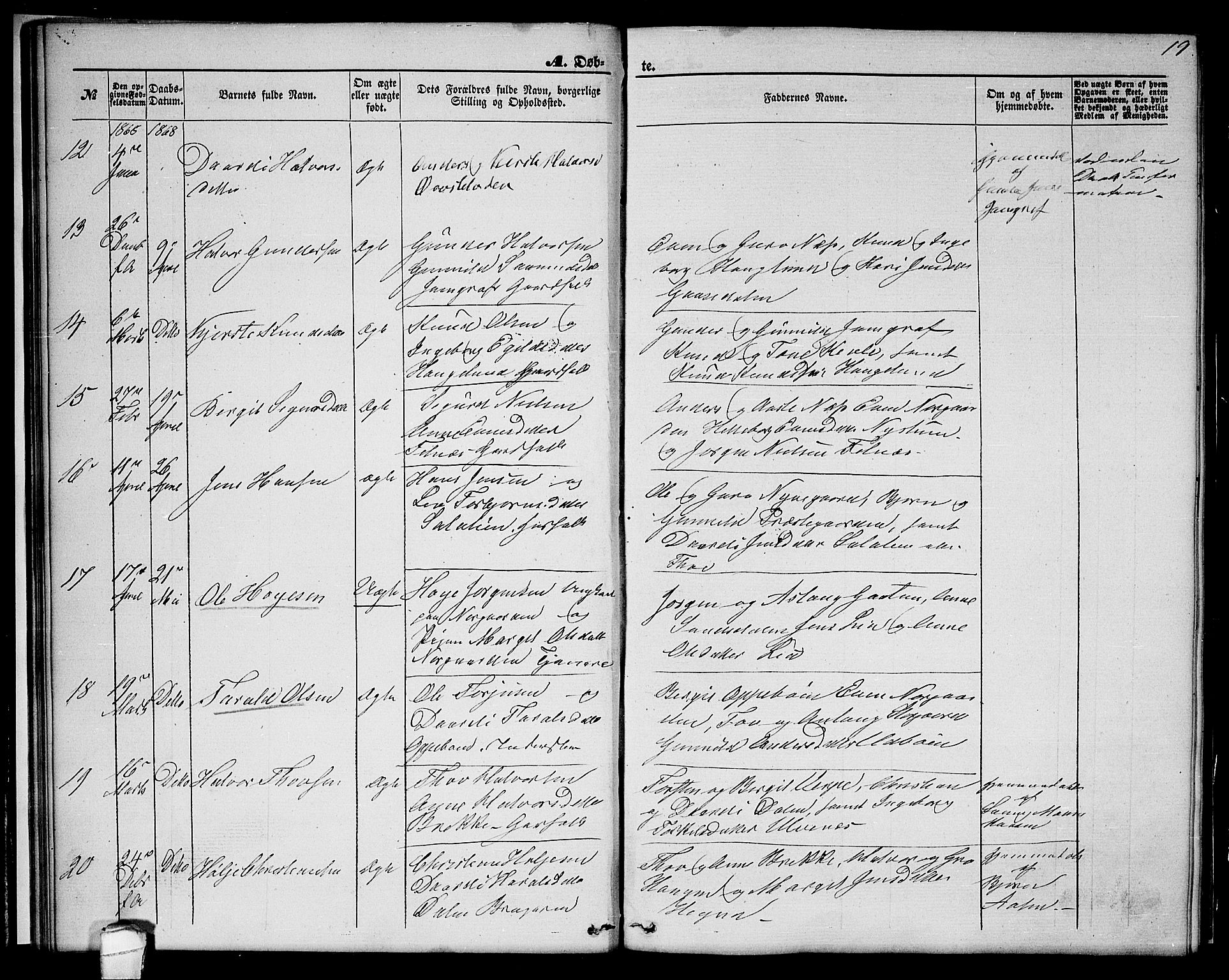 Seljord kirkebøker, AV/SAKO-A-20/G/Ga/L0003: Parish register (copy) no. I 3, 1866-1873, p. 19