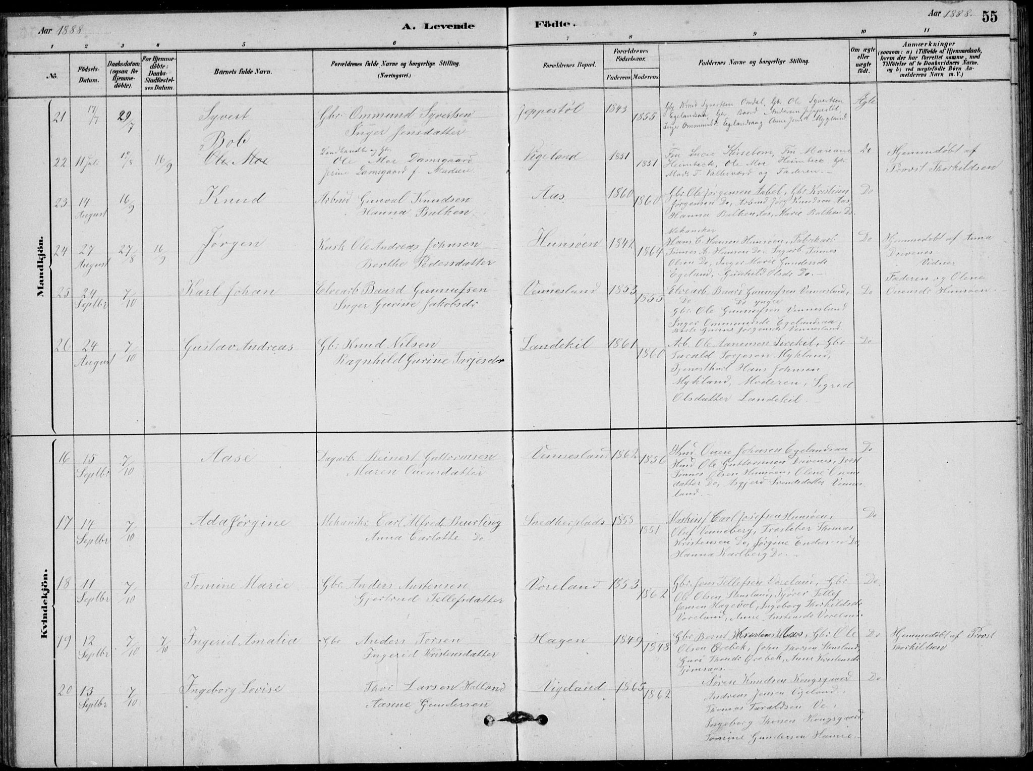 Vennesla sokneprestkontor, AV/SAK-1111-0045/Fb/Fbb/L0003: Parish register (copy) no. B 3, 1879-1893, p. 55