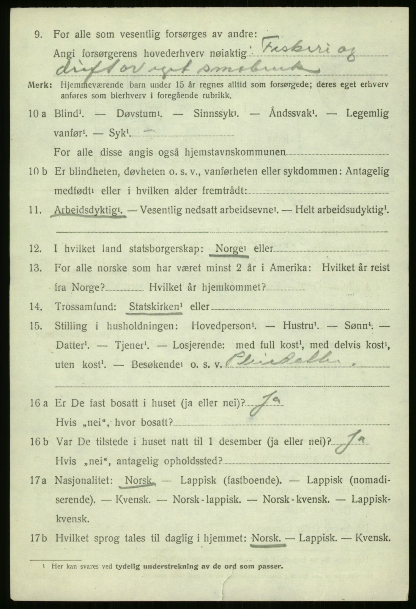 SATØ, 1920 census for Nordreisa, 1920, p. 1244