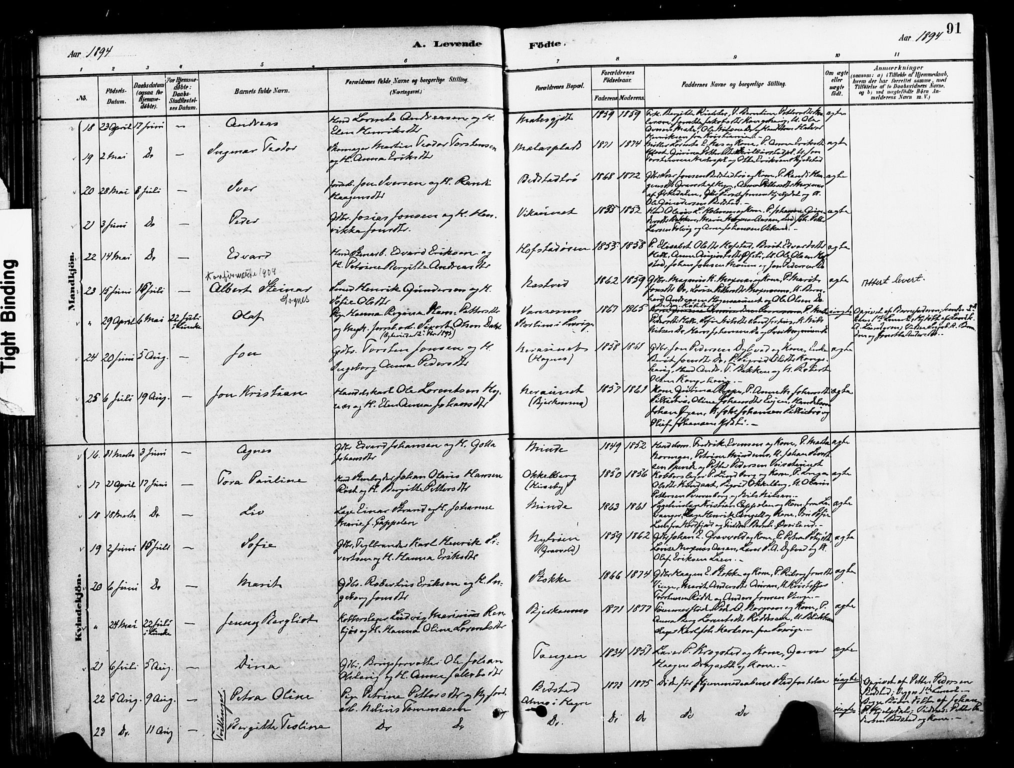 Ministerialprotokoller, klokkerbøker og fødselsregistre - Nord-Trøndelag, SAT/A-1458/709/L0077: Parish register (official) no. 709A17, 1880-1895, p. 91