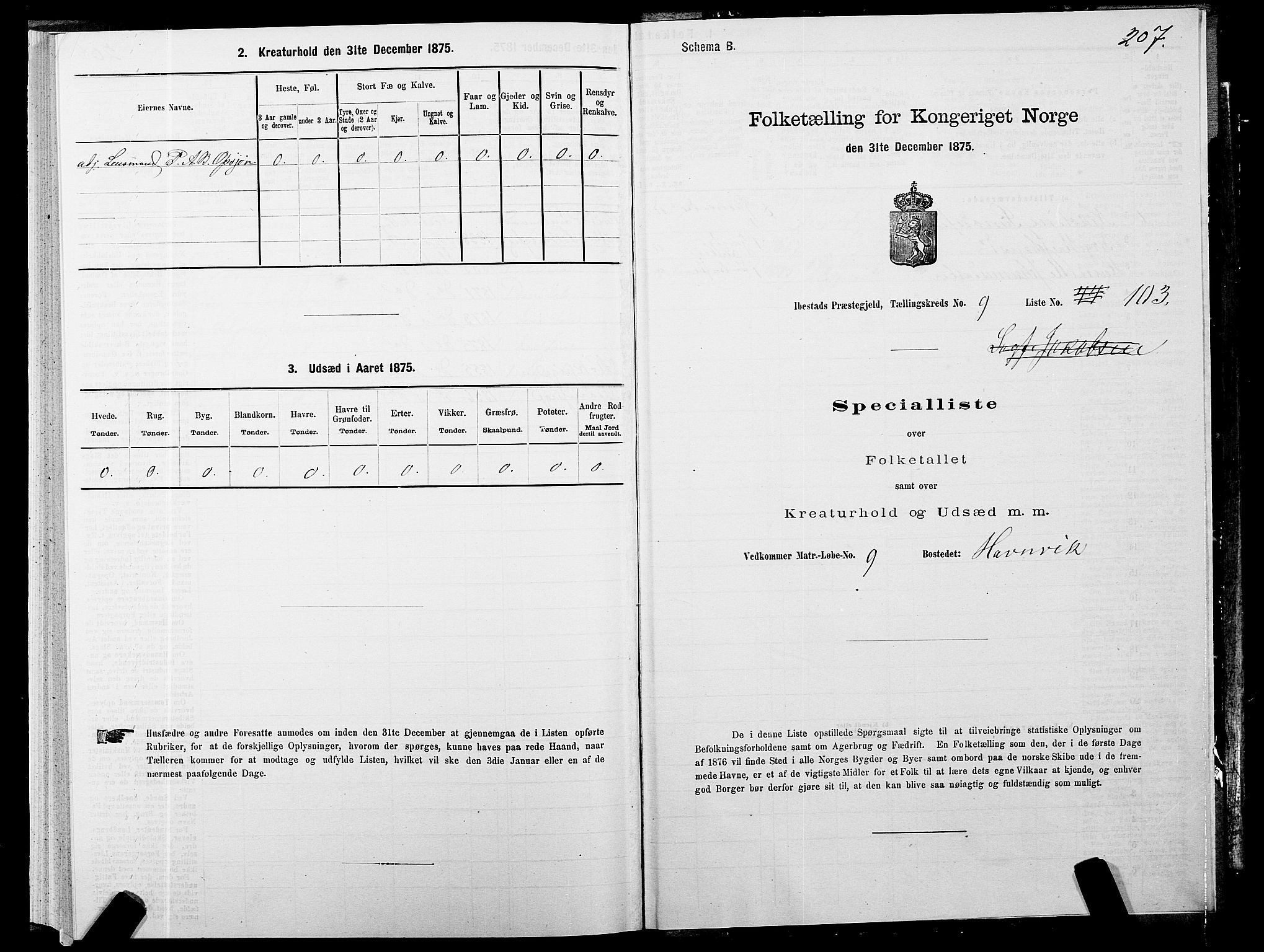 SATØ, 1875 census for 1917P Ibestad, 1875, p. 6207