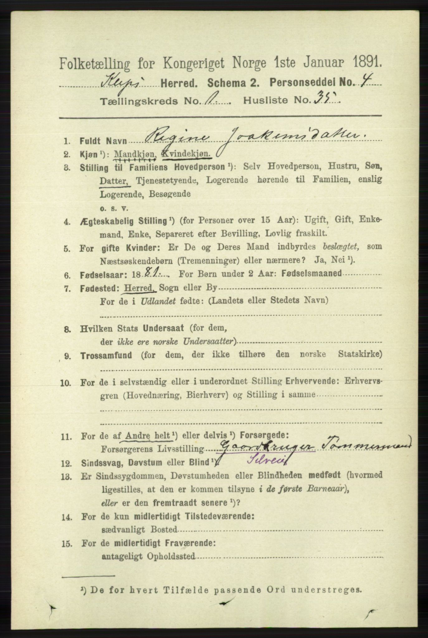 RA, 1891 census for 1120 Klepp, 1891, p. 301