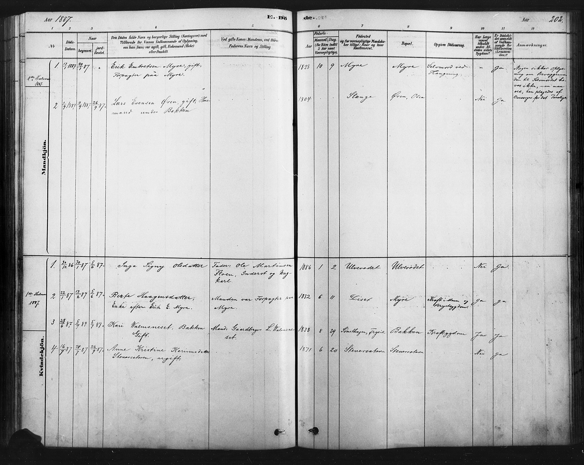 Åmot prestekontor, Hedmark, SAH/PREST-056/H/Ha/Haa/L0012: Parish register (official) no. 12, 1878-1901, p. 202