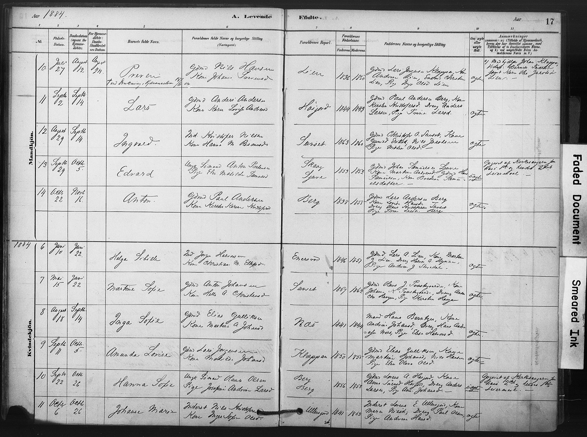 Andebu kirkebøker, SAKO/A-336/F/Fa/L0009: Parish register (official) no. 9, 1878-1909, p. 17