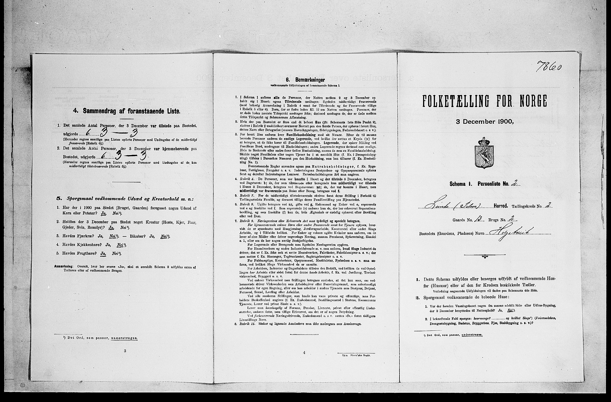 SAKO, 1900 census for Lunde, 1900, p. 161