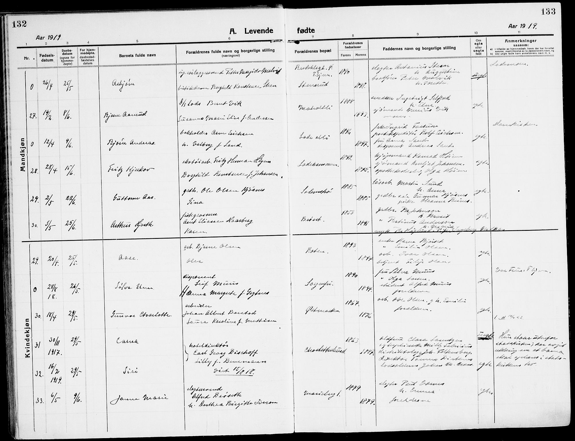 Ministerialprotokoller, klokkerbøker og fødselsregistre - Sør-Trøndelag, SAT/A-1456/607/L0321: Parish register (official) no. 607A05, 1916-1935, p. 132-133