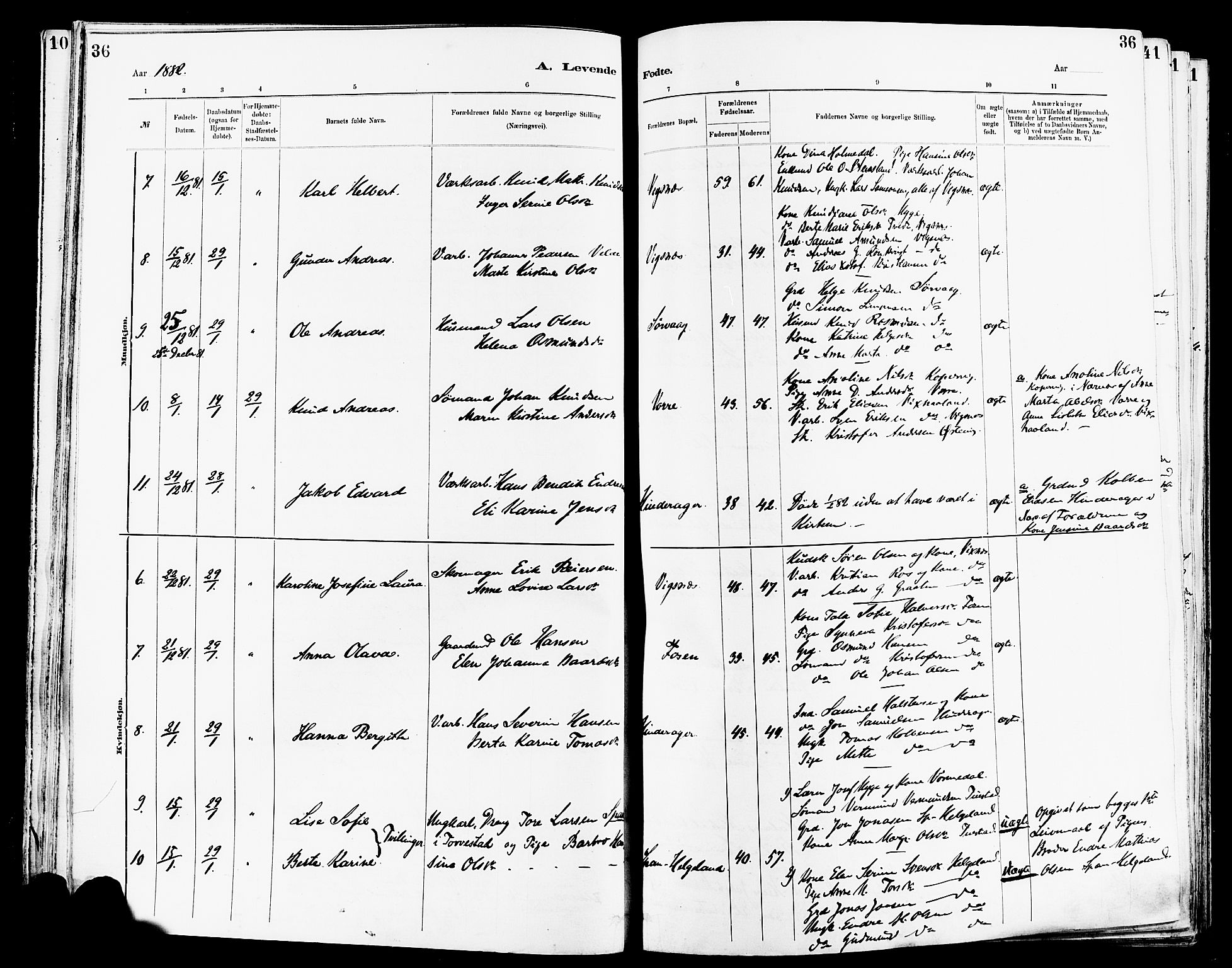 Avaldsnes sokneprestkontor, AV/SAST-A -101851/H/Ha/Haa/L0014: Parish register (official) no. A 14, 1880-1889, p. 36