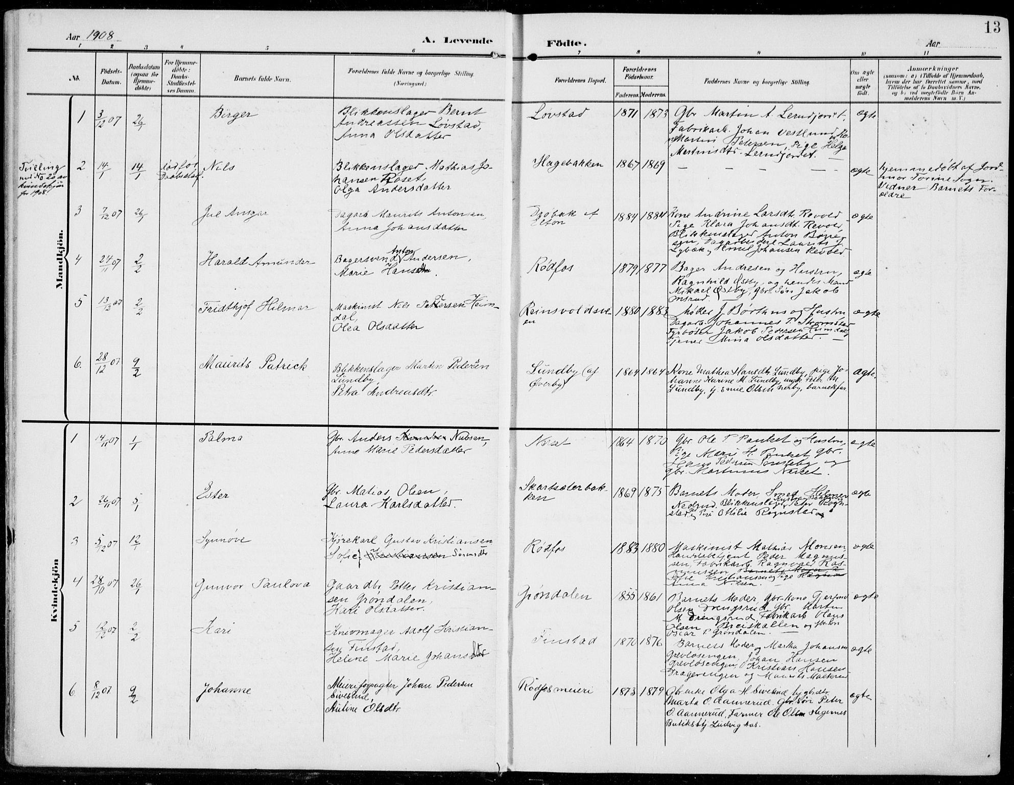 Vestre Toten prestekontor, AV/SAH-PREST-108/H/Ha/Haa/L0014: Parish register (official) no. 14, 1907-1920, p. 13