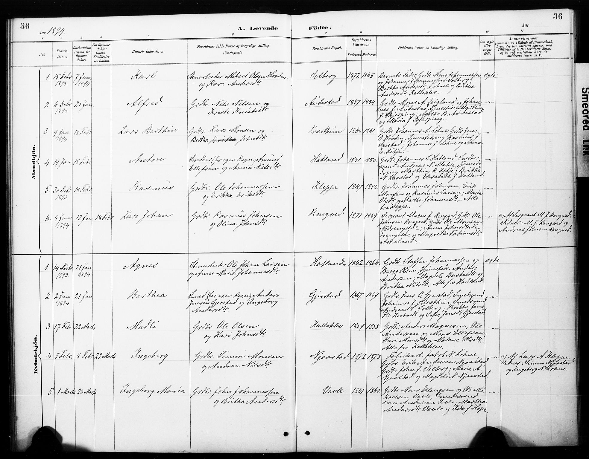 Haus sokneprestembete, SAB/A-75601/H/Haa: Parish register (official) no. C 1, 1887-1899, p. 36