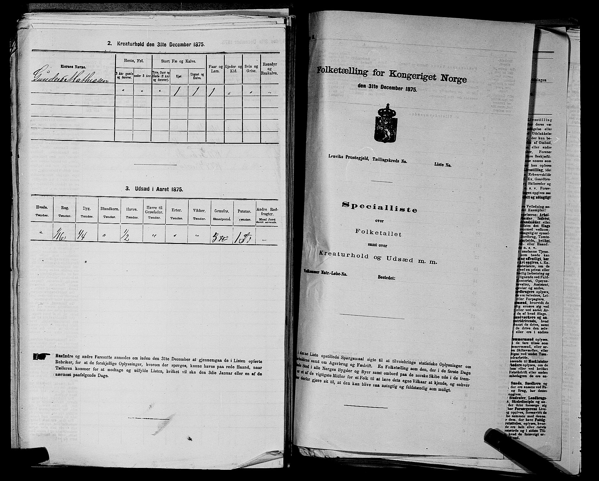 SAKO, 1875 census for 0718P Ramnes, 1875, p. 973