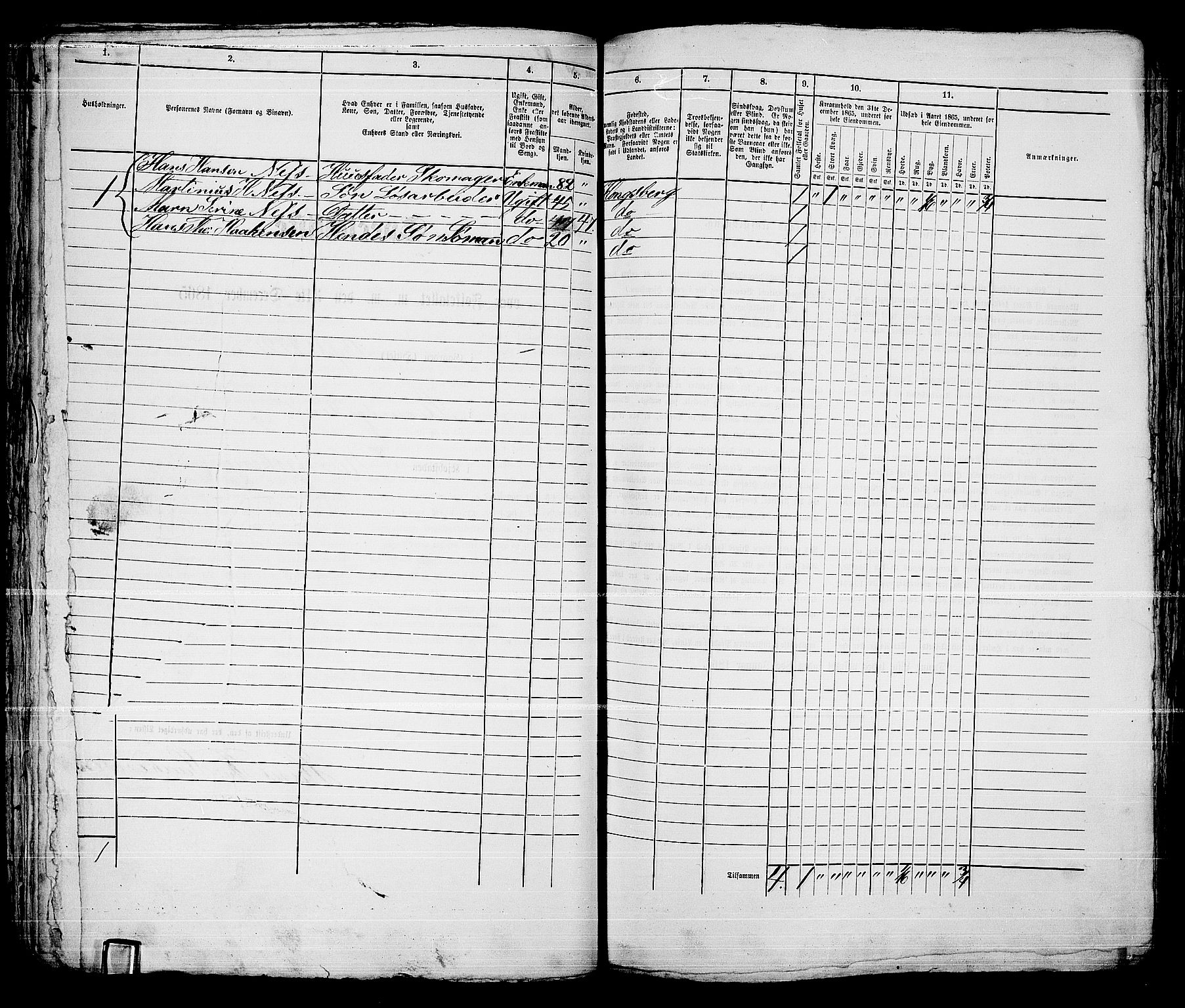 RA, 1865 census for Kongsberg/Kongsberg, 1865, p. 1133