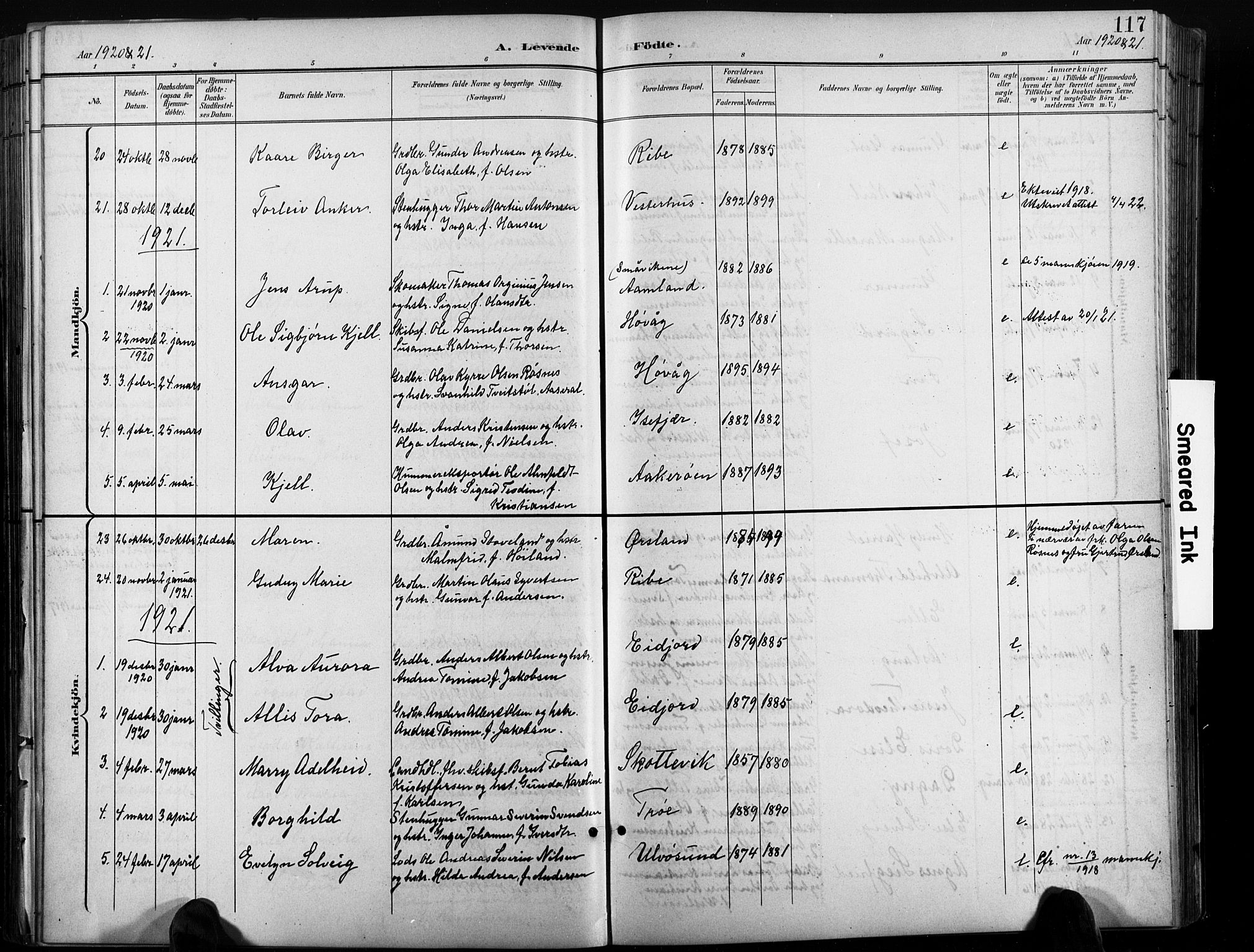 Høvåg sokneprestkontor, AV/SAK-1111-0025/F/Fb/L0005: Parish register (copy) no. B 5, 1898-1929, p. 117