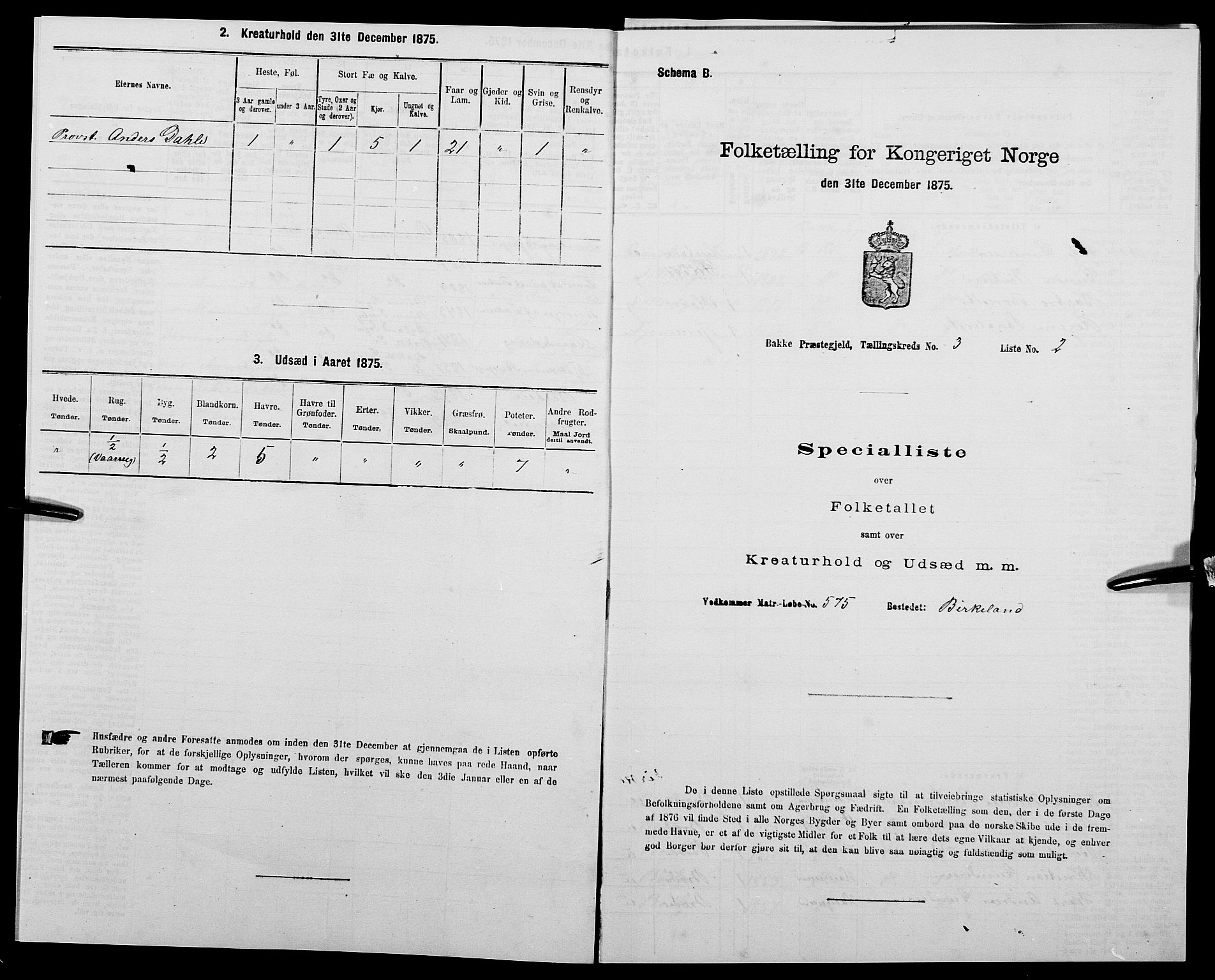 SAK, 1875 census for 1045P Bakke, 1875, p. 223