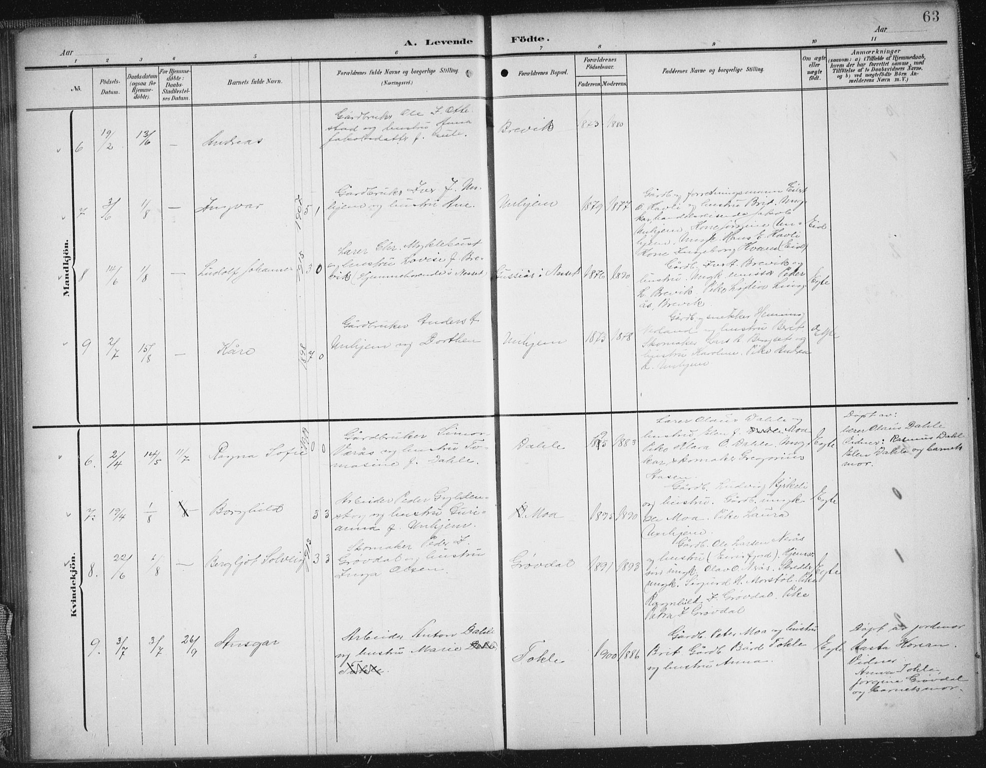 Ministerialprotokoller, klokkerbøker og fødselsregistre - Møre og Romsdal, SAT/A-1454/545/L0589: Parish register (copy) no. 545C03, 1902-1937, p. 63