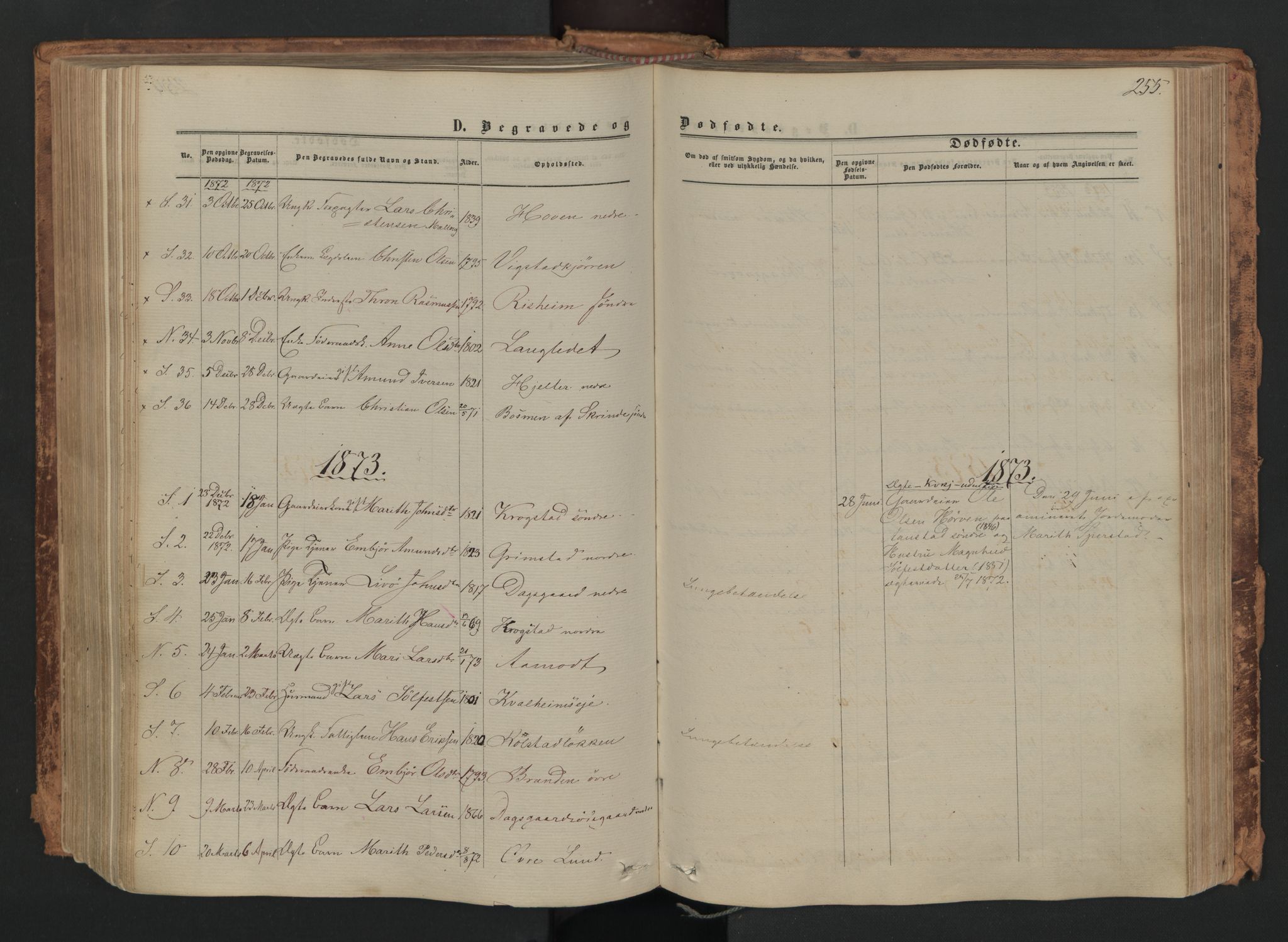 Skjåk prestekontor, SAH/PREST-072/H/Ha/Haa/L0001: Parish register (official) no. 1, 1863-1879, p. 255