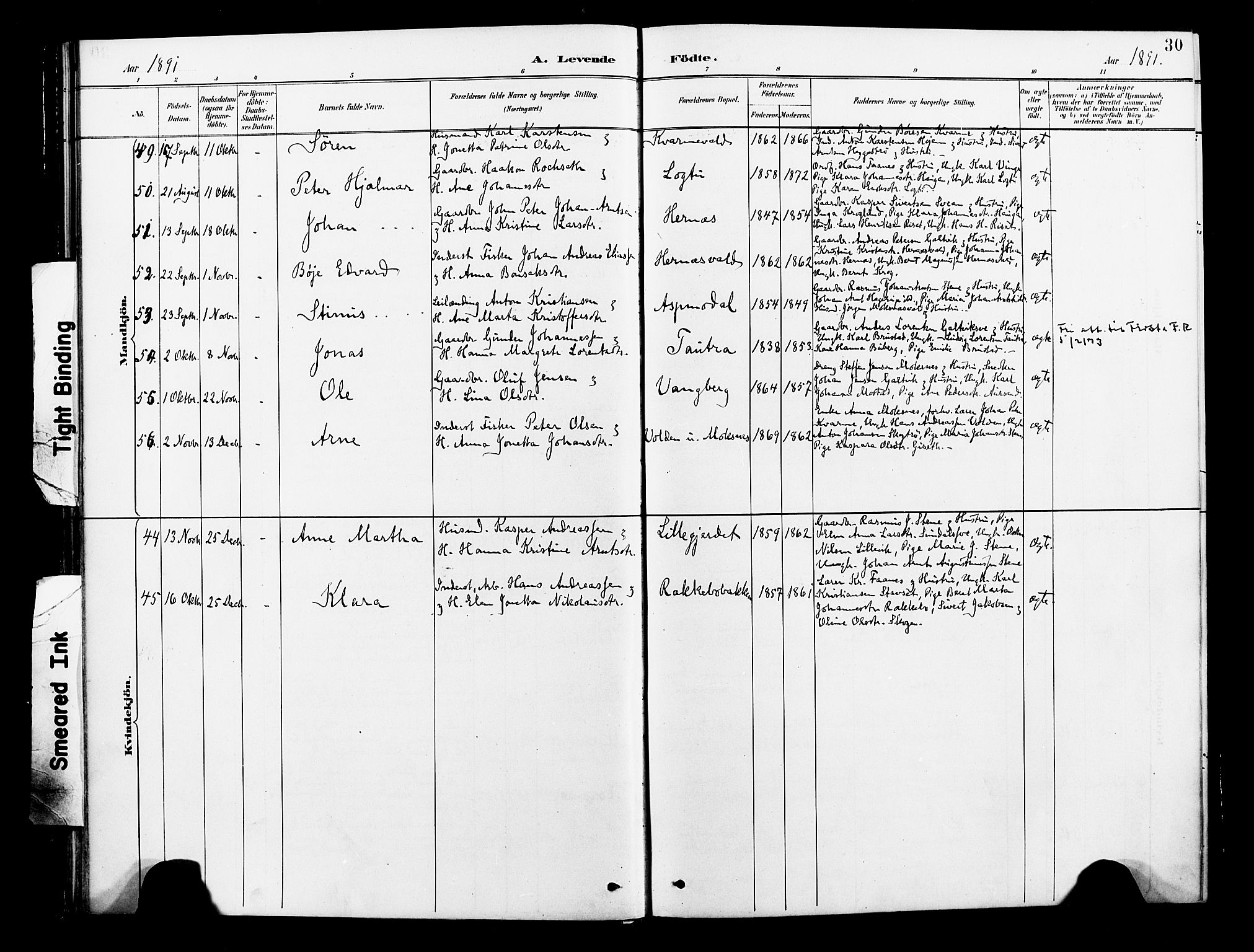 Ministerialprotokoller, klokkerbøker og fødselsregistre - Nord-Trøndelag, AV/SAT-A-1458/713/L0121: Parish register (official) no. 713A10, 1888-1898, p. 30