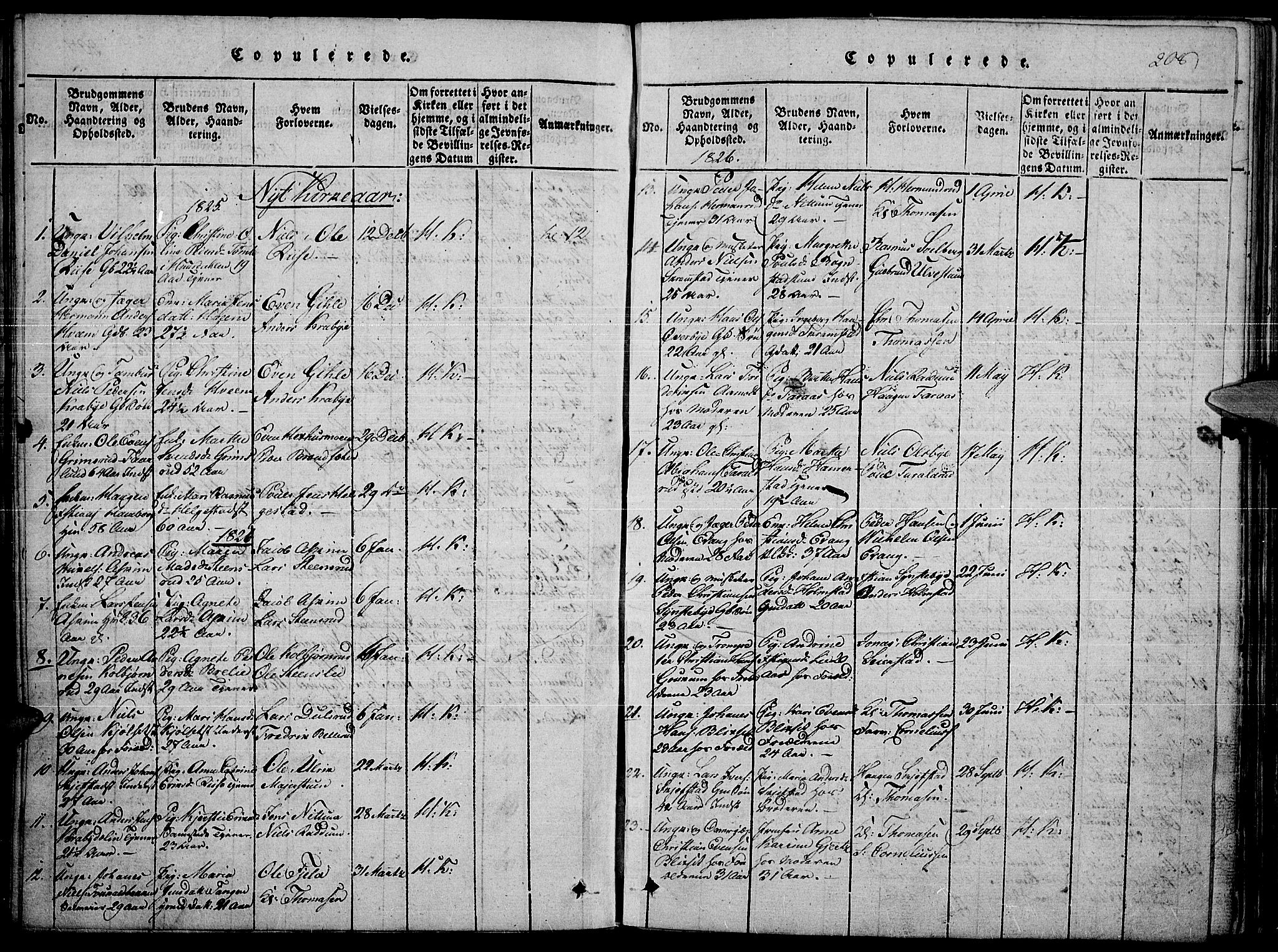 Toten prestekontor, SAH/PREST-102/H/Ha/Haa/L0010: Parish register (official) no. 10, 1820-1828, p. 208
