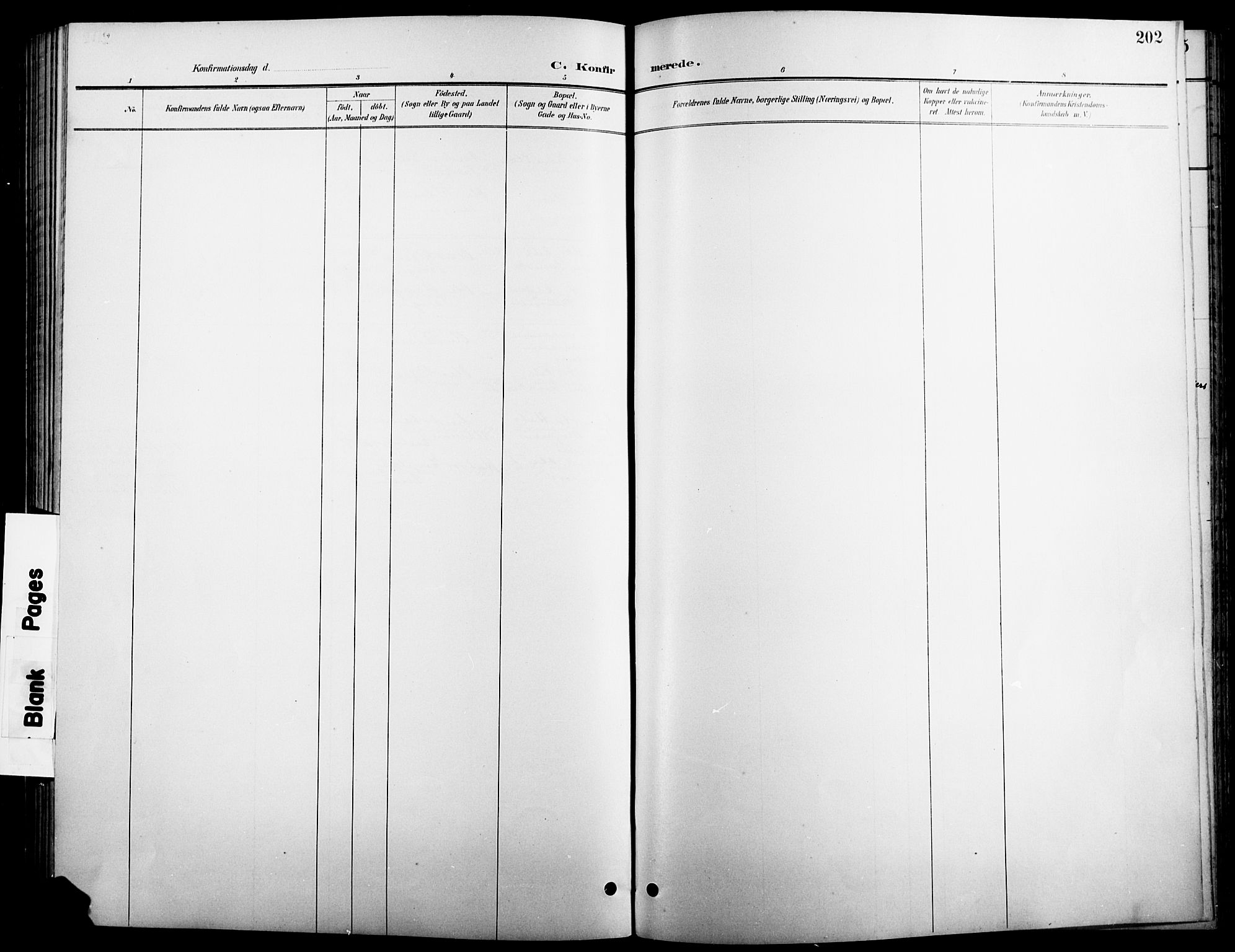 Stange prestekontor, SAH/PREST-002/L/L0011: Parish register (copy) no. 11, 1895-1917, p. 202