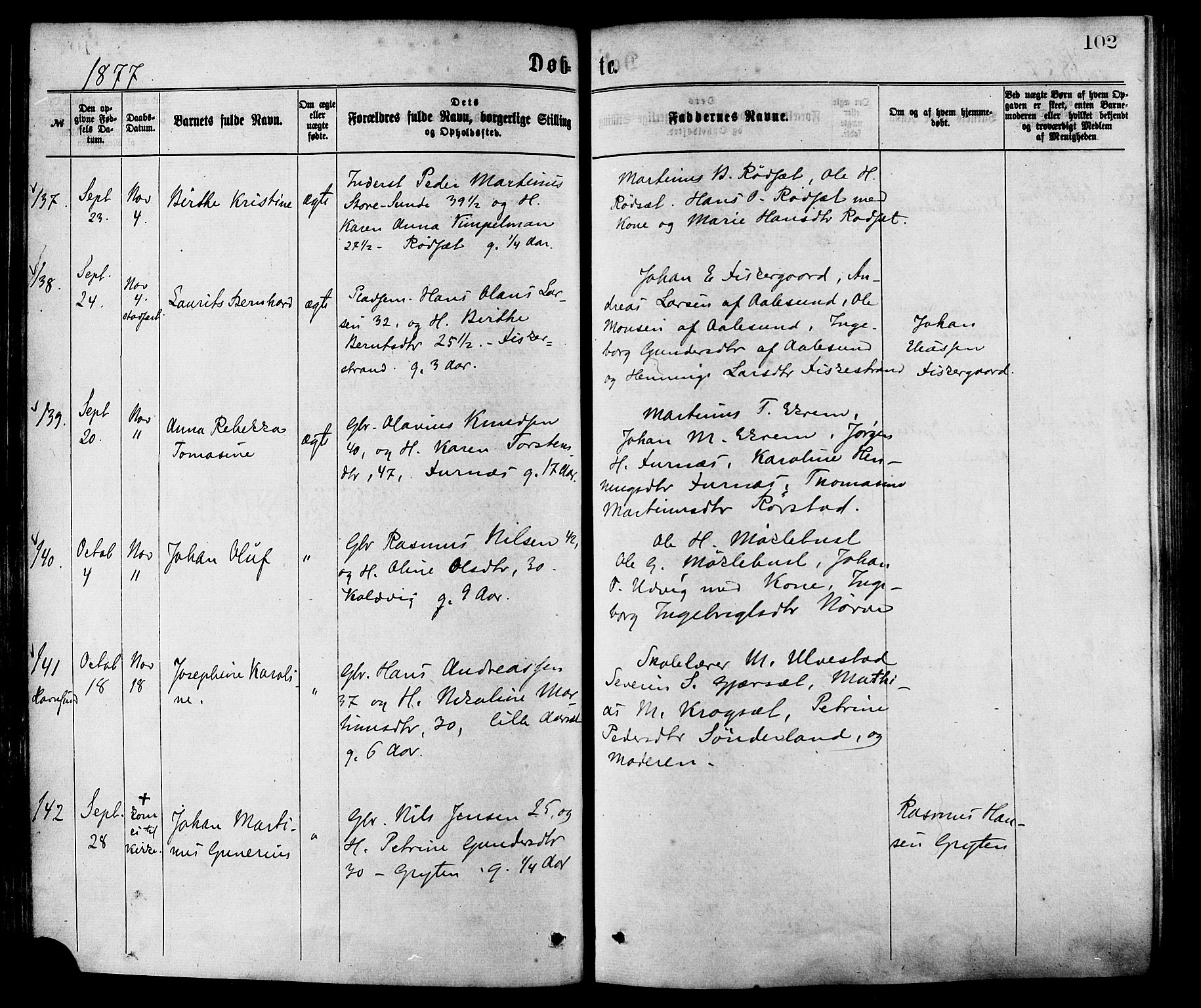 Ministerialprotokoller, klokkerbøker og fødselsregistre - Møre og Romsdal, AV/SAT-A-1454/528/L0400: Parish register (official) no. 528A11, 1871-1879, p. 102