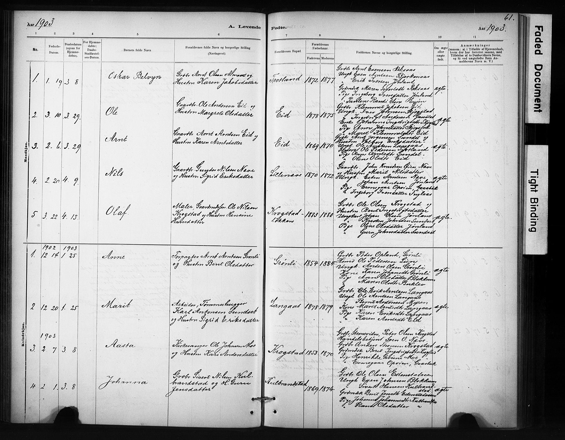 Ministerialprotokoller, klokkerbøker og fødselsregistre - Sør-Trøndelag, SAT/A-1456/694/L1127: Parish register (official) no. 694A01, 1887-1905, p. 61