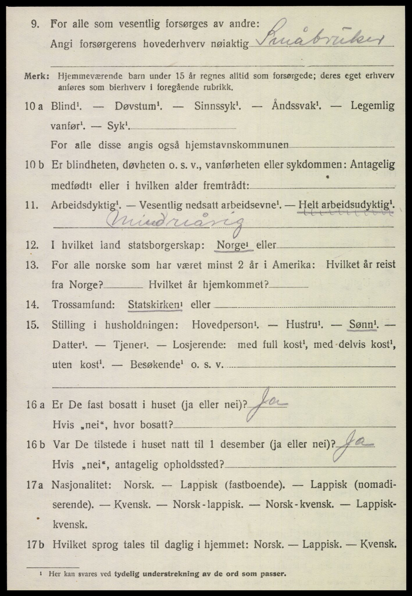 SAT, 1920 census for Høylandet, 1920, p. 2221