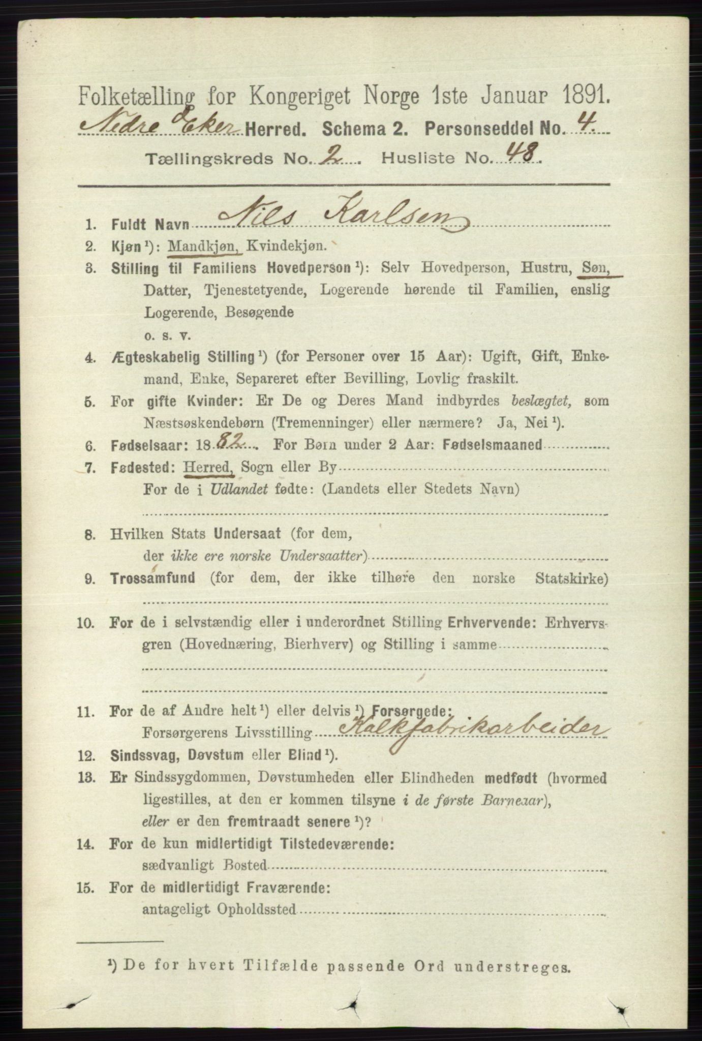 RA, 1891 census for 0625 Nedre Eiker, 1891, p. 807