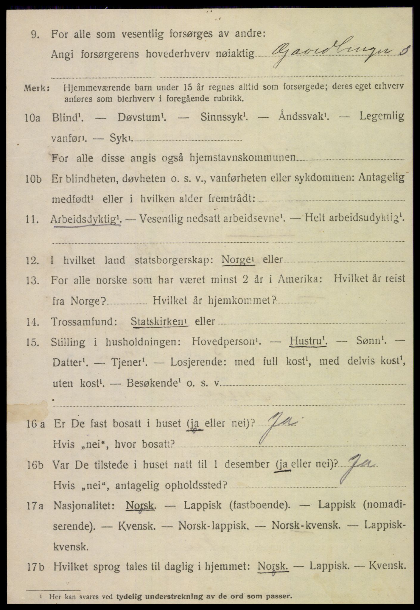 SAT, 1920 census for Sørli, 1920, p. 1066