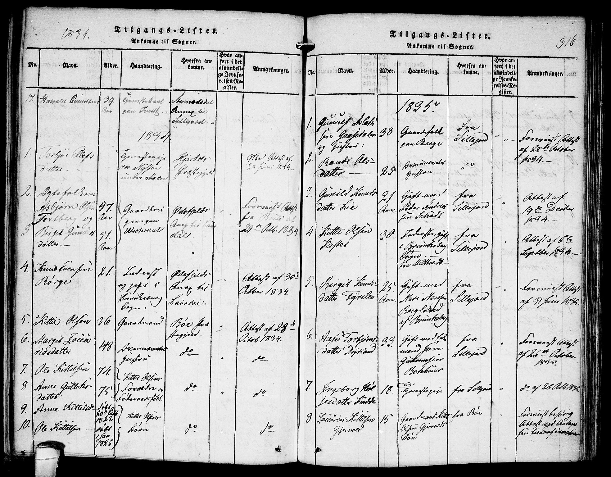 Kviteseid kirkebøker, SAKO/A-276/F/Fb/L0001: Parish register (official) no. II 1, 1815-1836, p. 316