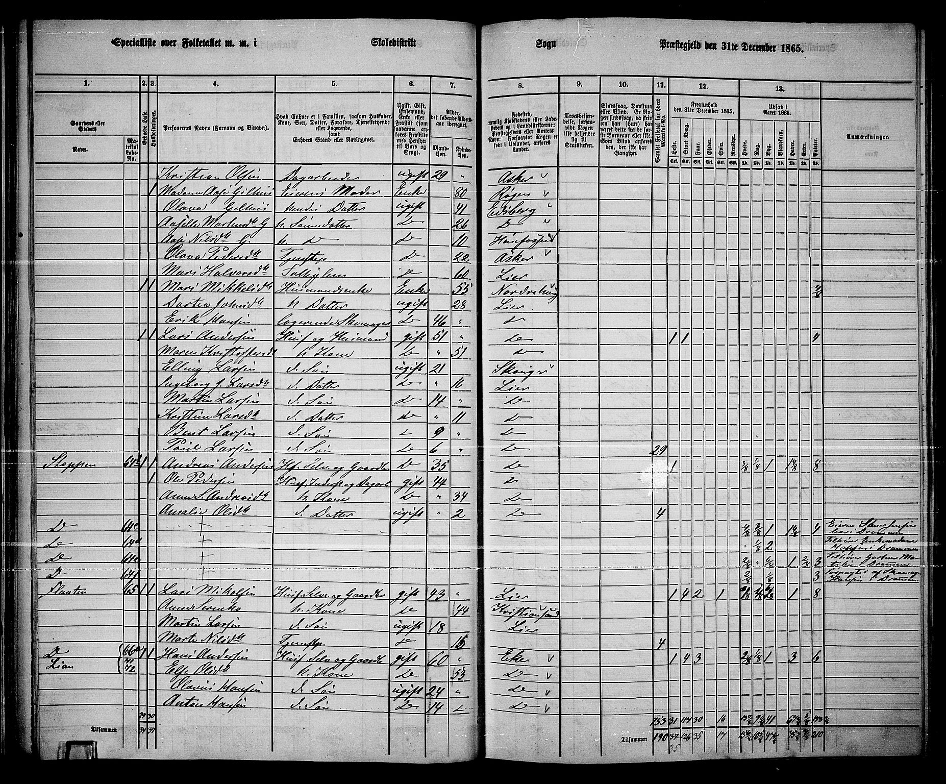 RA, 1865 census for Lier, 1865, p. 46