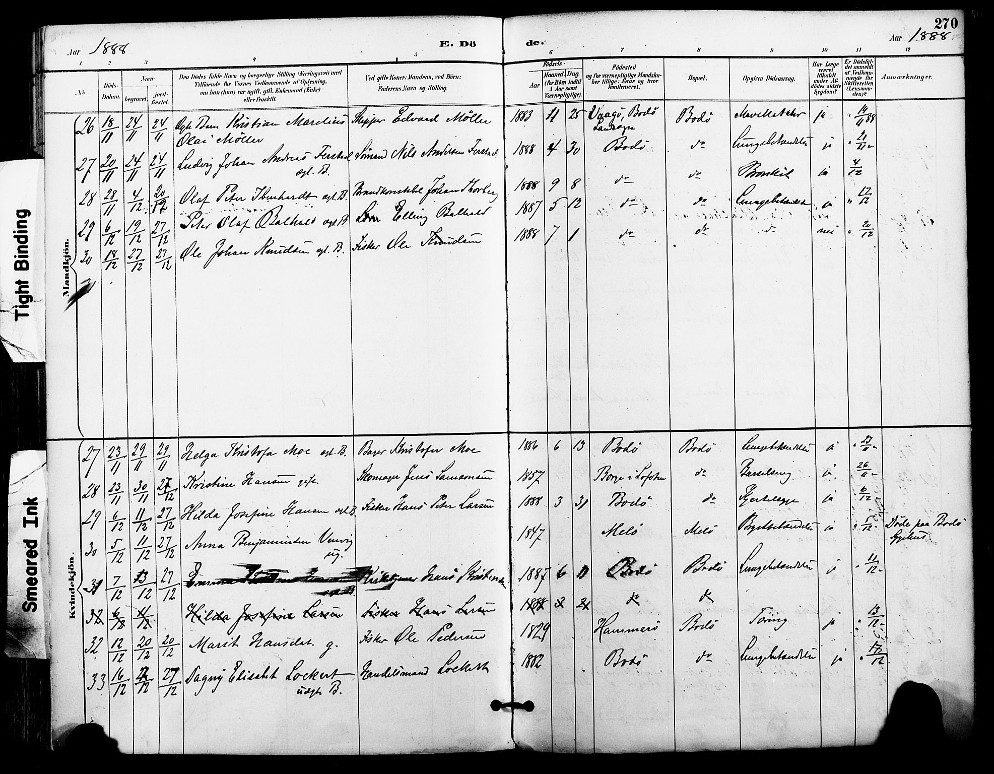 Ministerialprotokoller, klokkerbøker og fødselsregistre - Nordland, AV/SAT-A-1459/801/L0010: Parish register (official) no. 801A10, 1888-1899, p. 270