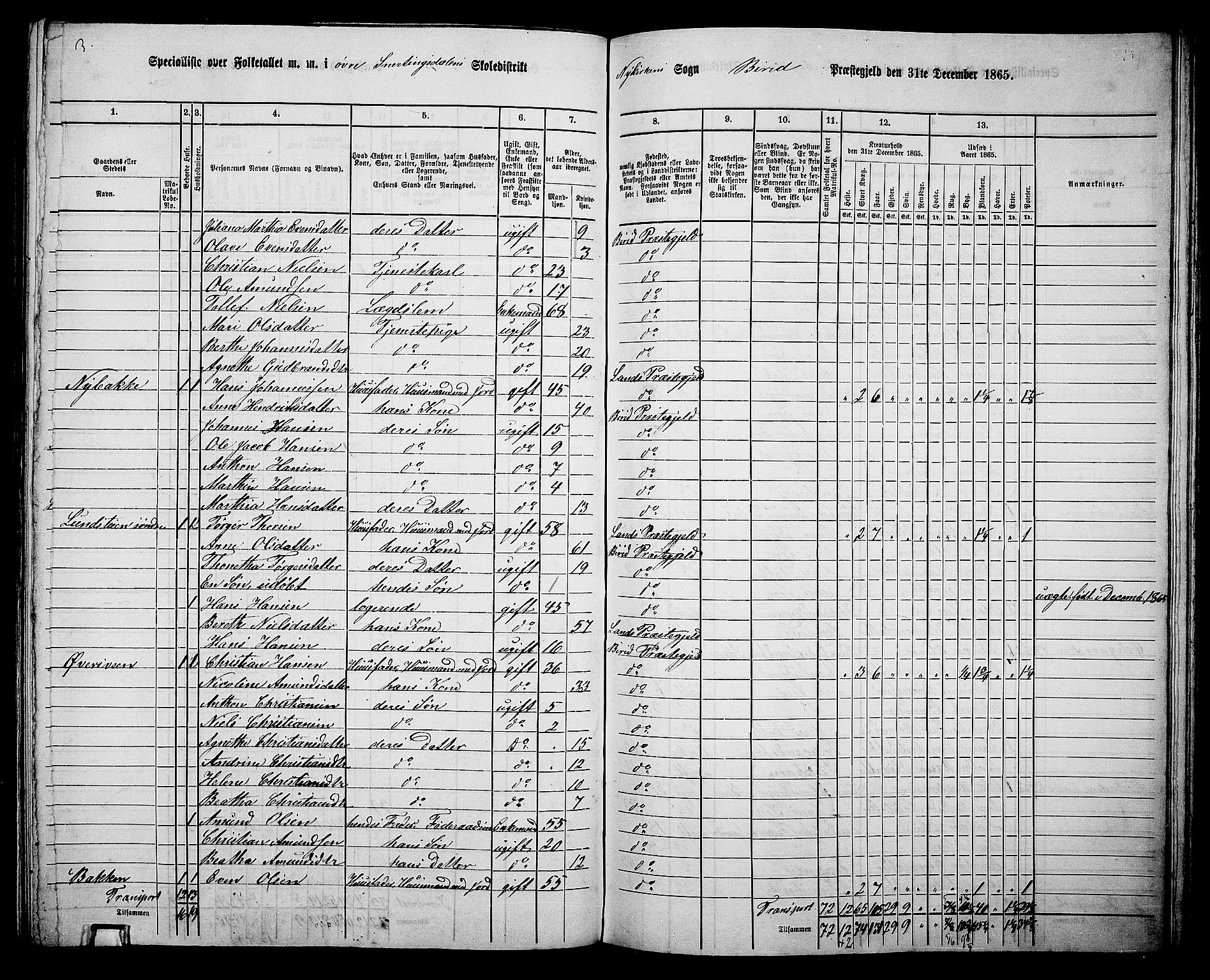 RA, 1865 census for Biri, 1865, p. 132