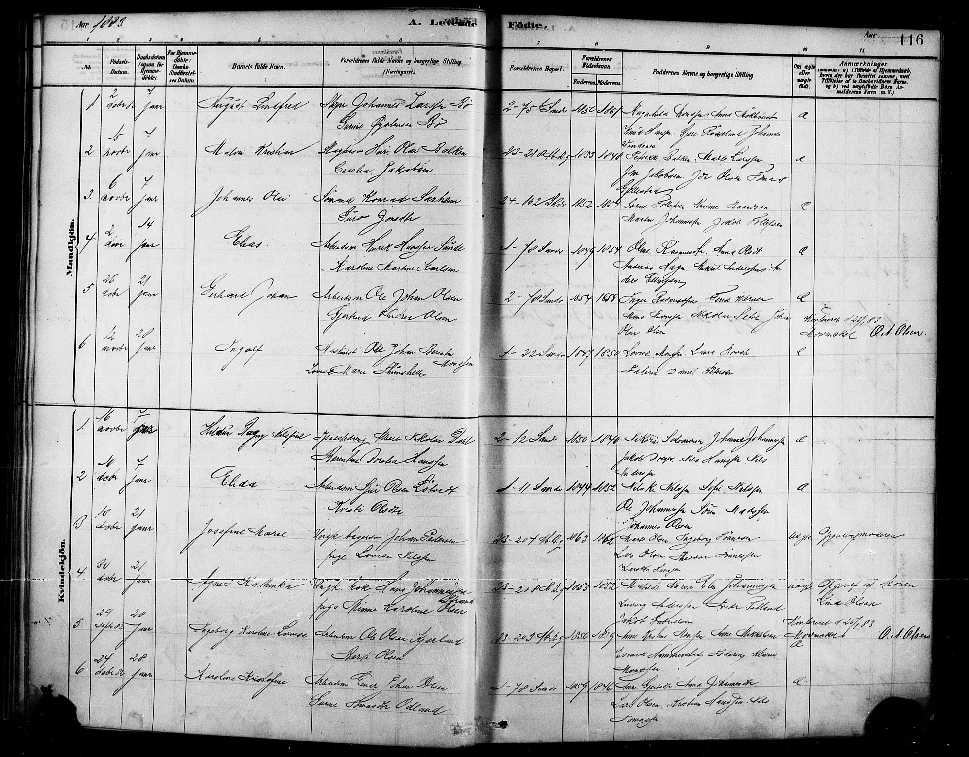 Sandviken Sokneprestembete, SAB/A-77601/H/Ha/L0004: Parish register (official) no. B 1, 1878-1891, p. 116