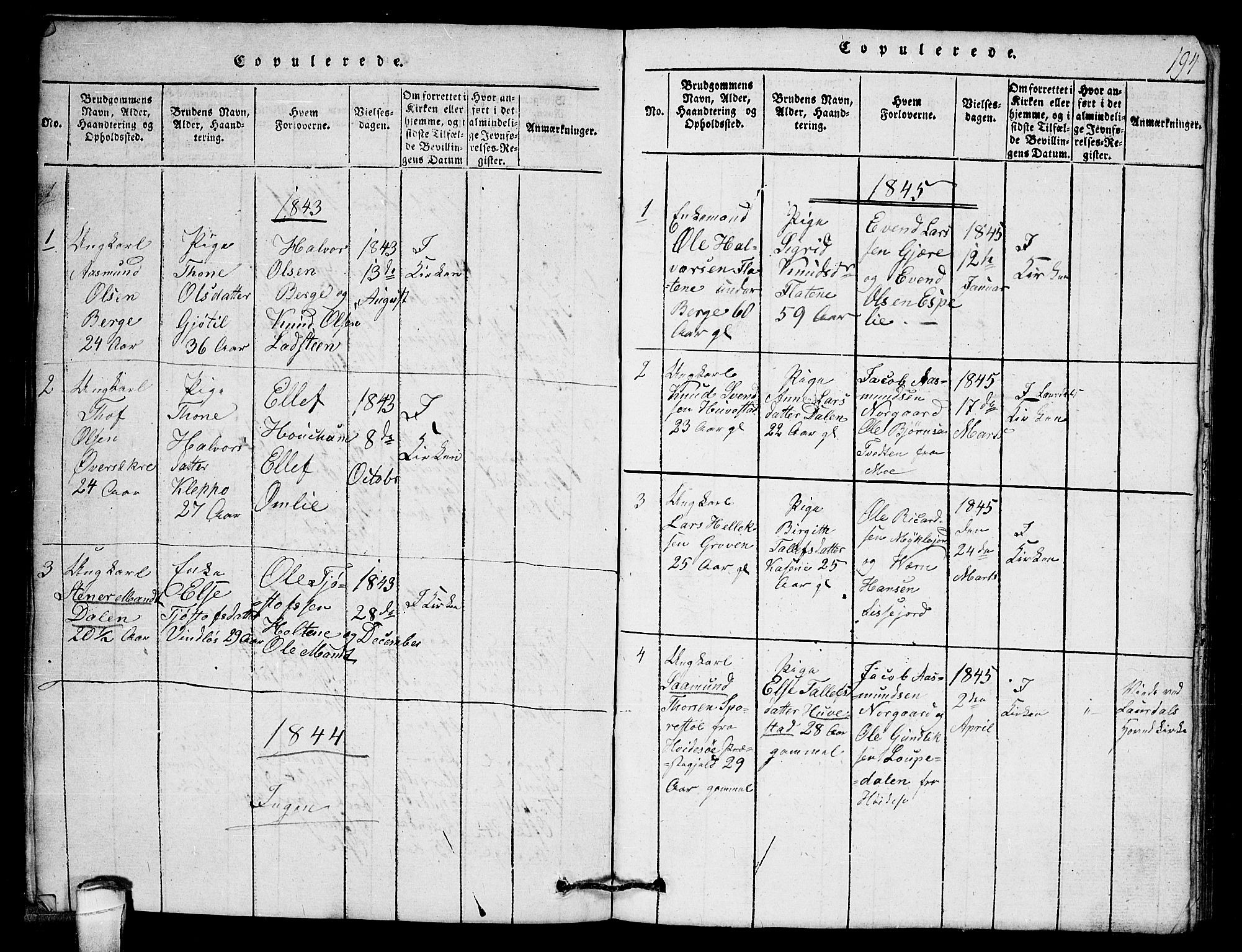 Lårdal kirkebøker, SAKO/A-284/G/Gb/L0001: Parish register (copy) no. II 1, 1815-1865, p. 194