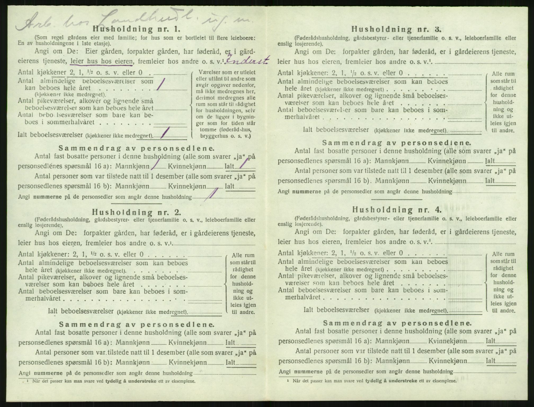 SAT, 1920 census for Borge, 1920, p. 568